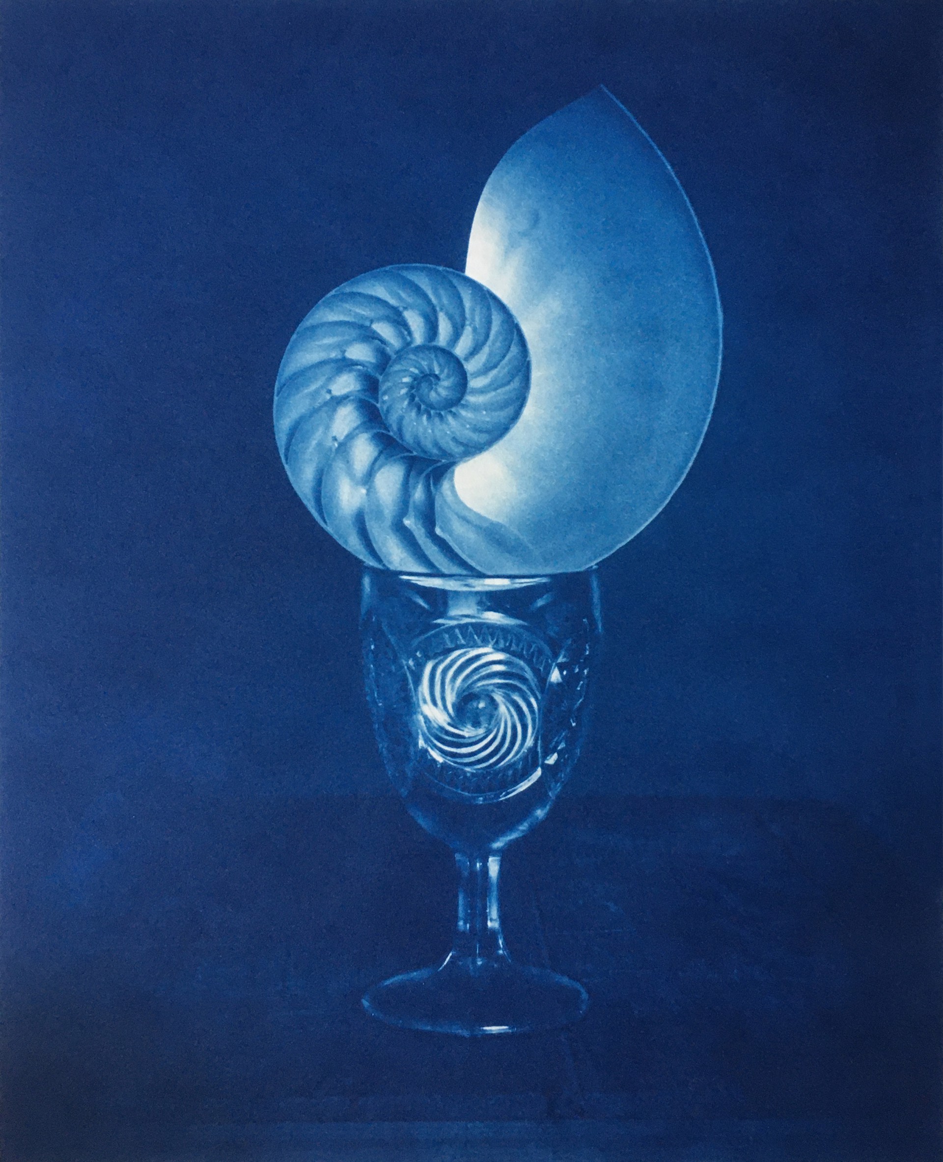 Nautilus on Goblet by David Sokosh
