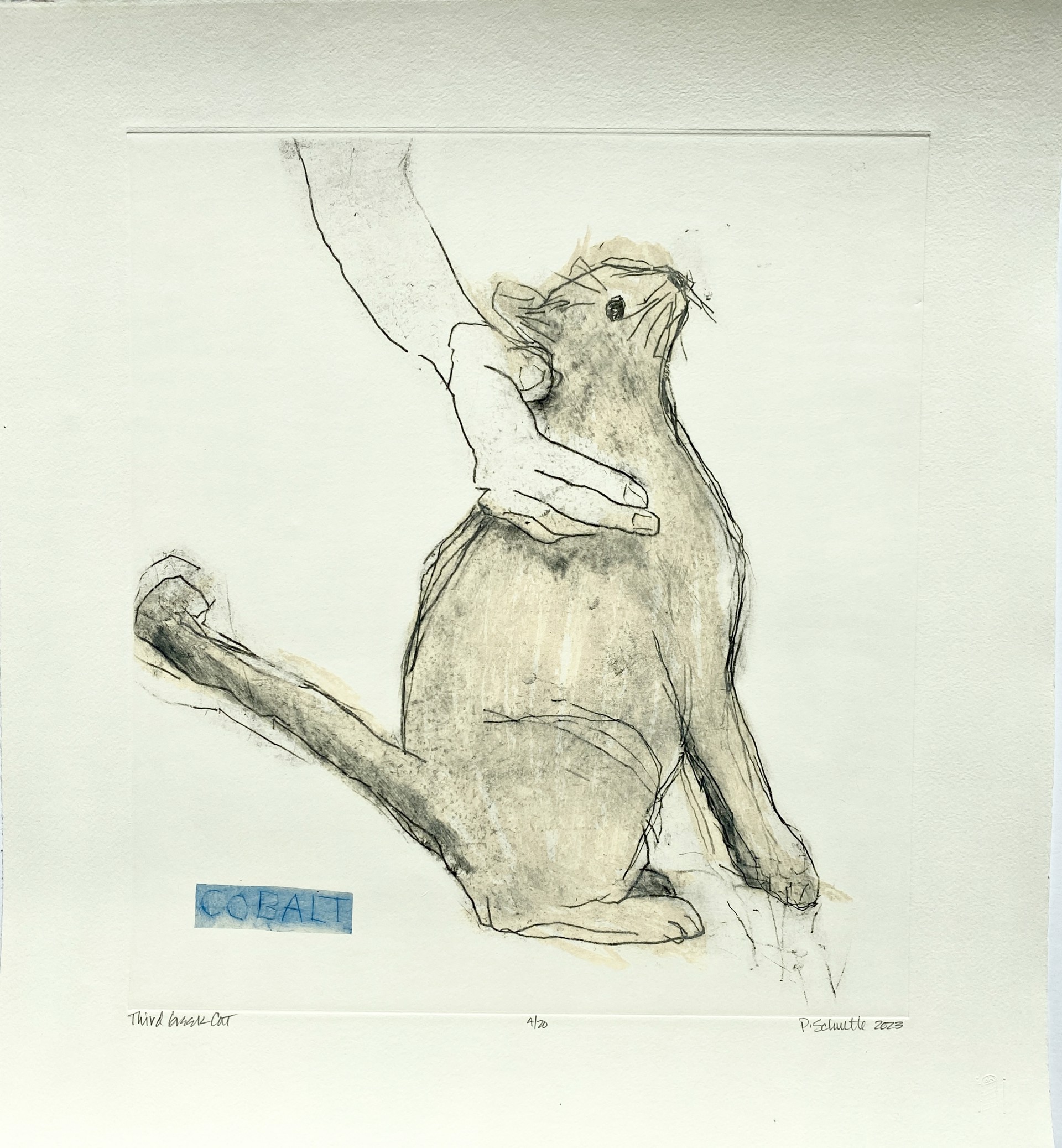 Third Greek Cat (Cobalt) by Paula Schuette Kraemer