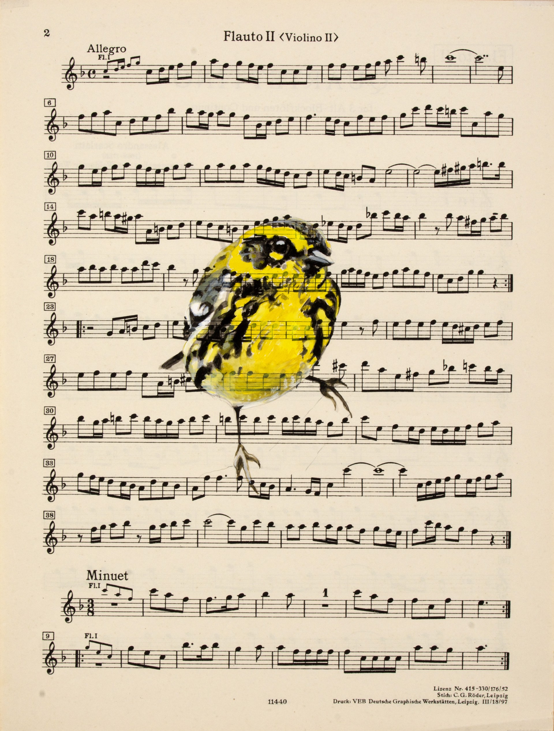 Townsend Warbler Songs IV by Diane Andrews Hall