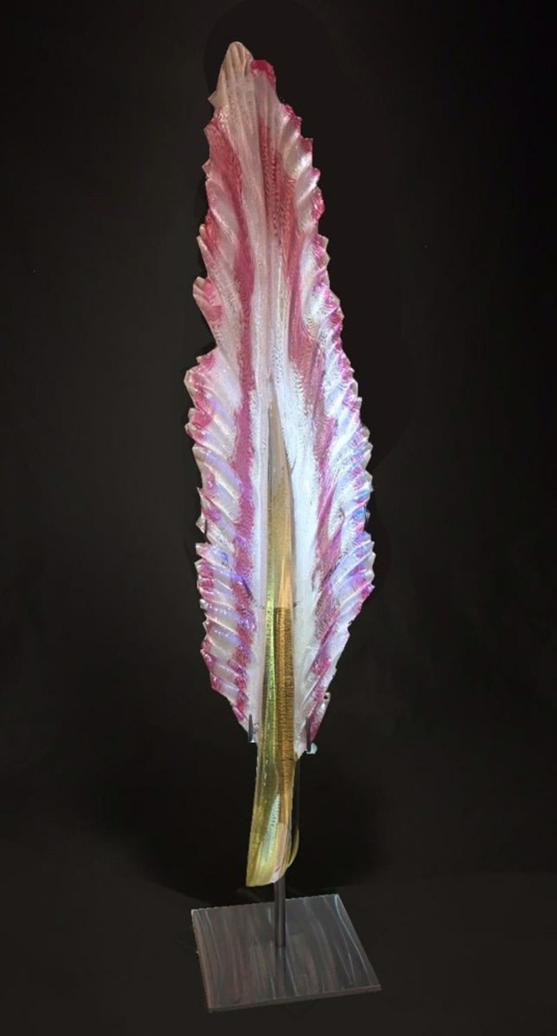 Pink & White Starling Feather by Nic McGuire