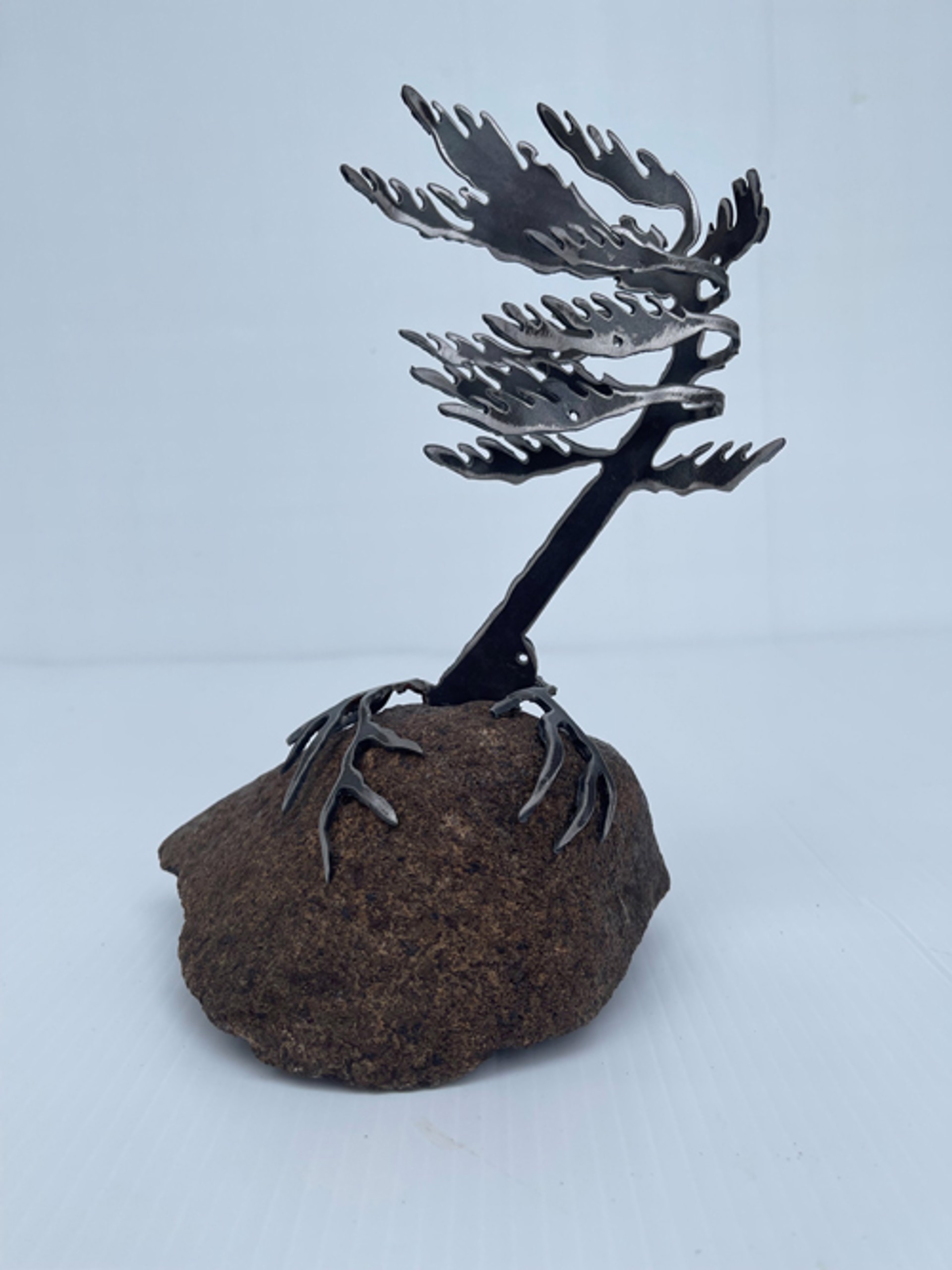 One Tree Rock by Cathy Mark