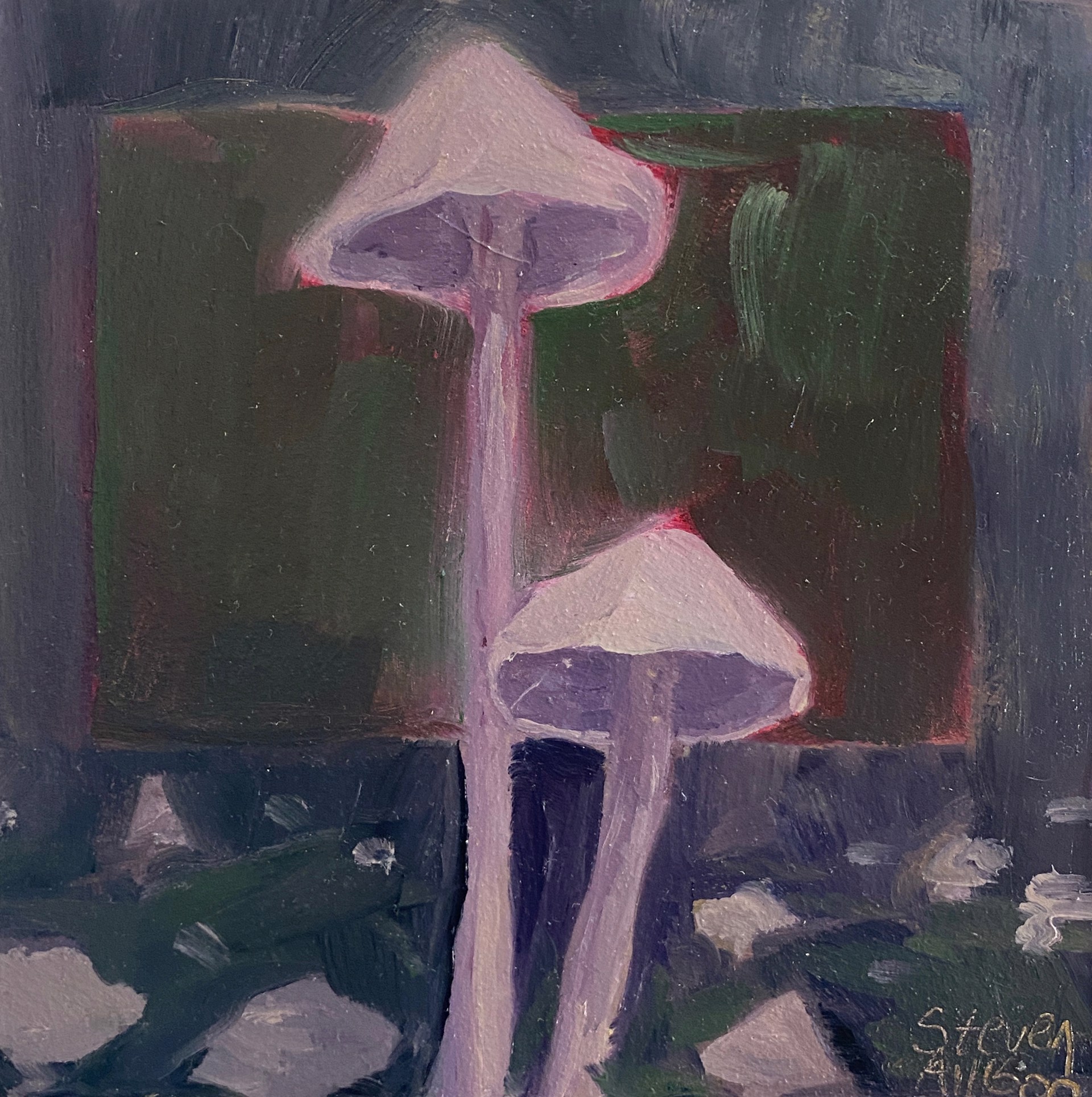 Mushroom I by Steven Allison