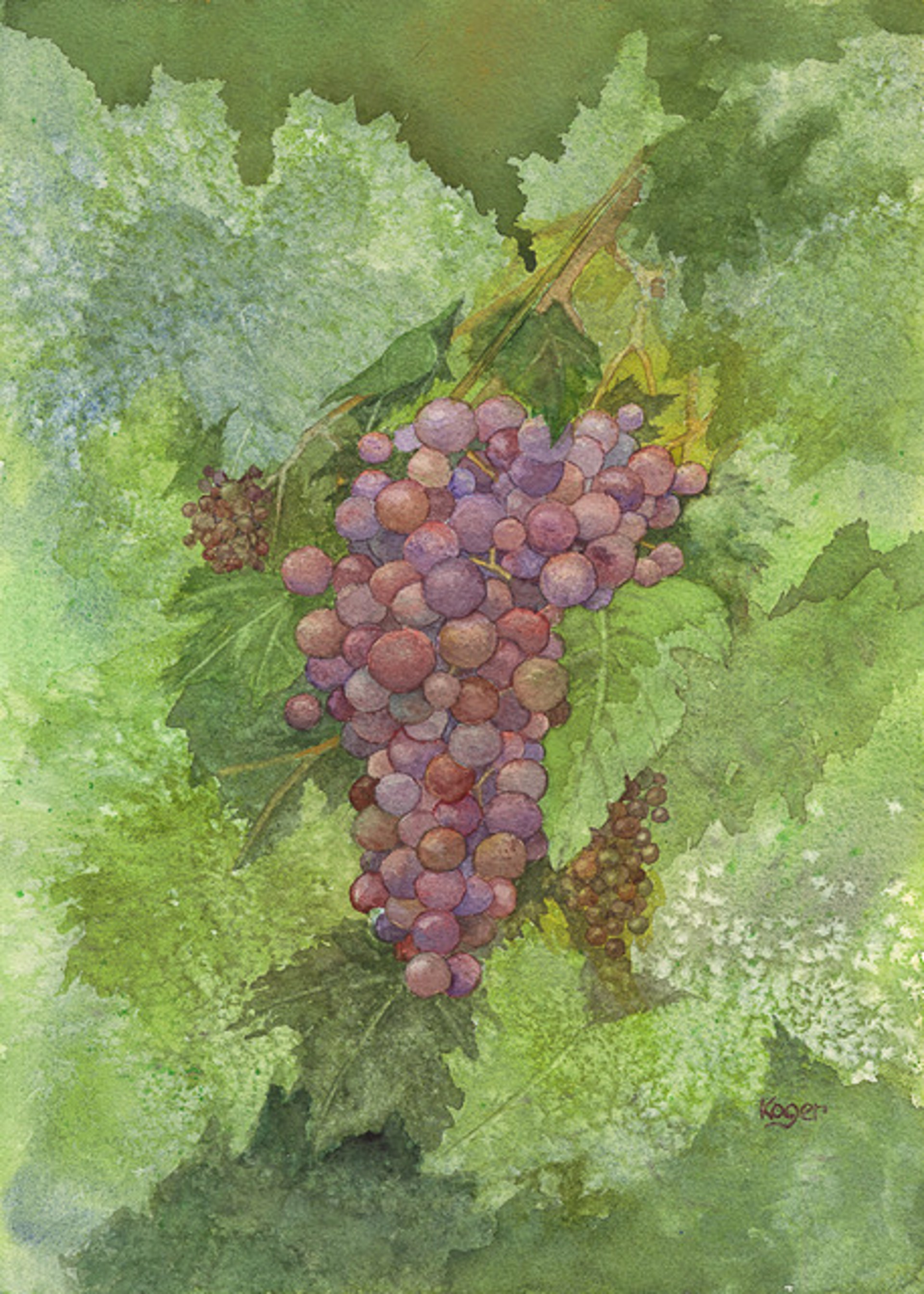 Ripening on the Vine by Bill Koger