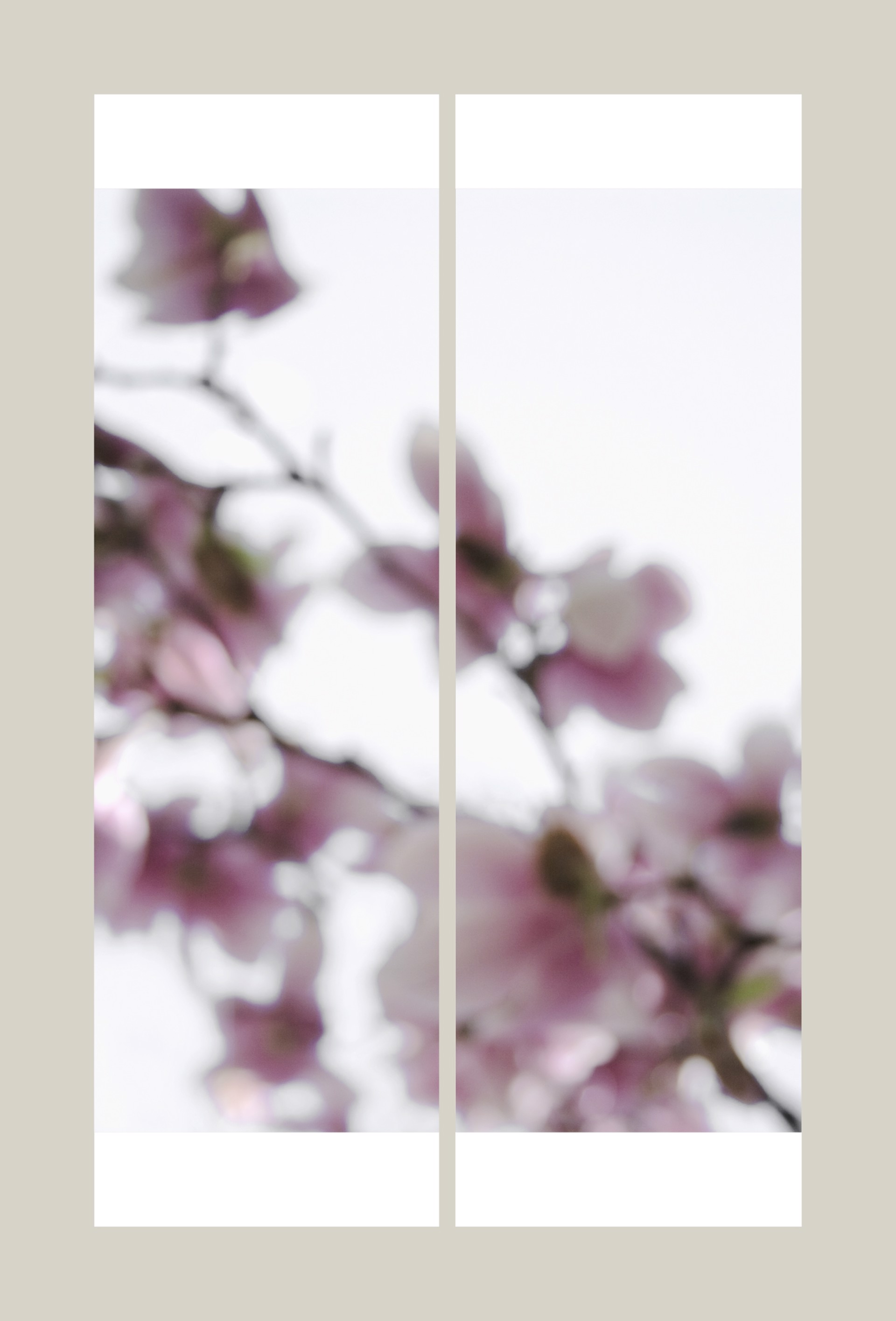 Magnolia No. 2 by Jeri Eisenberg