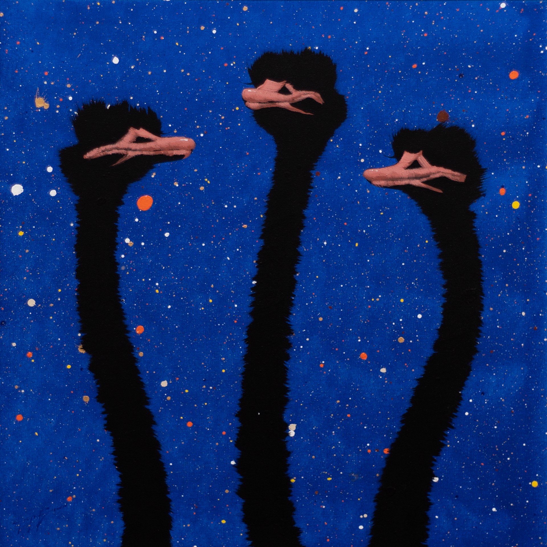 Three Pink Ostrich on Blue Sprinkles by Josh Brown