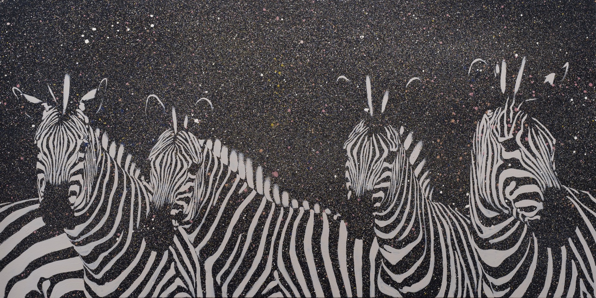 Zebra On Dark Night by Josh Brown