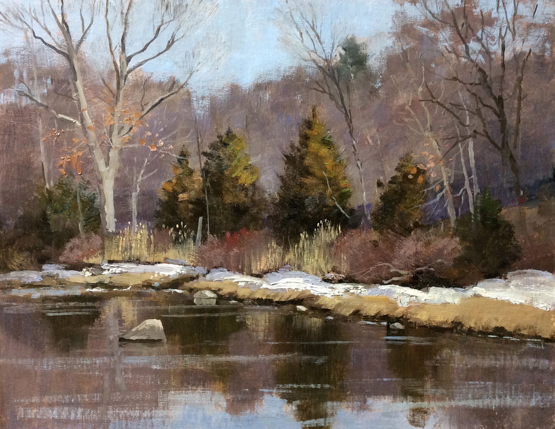 River Bank Cedars by Thomas Adkins