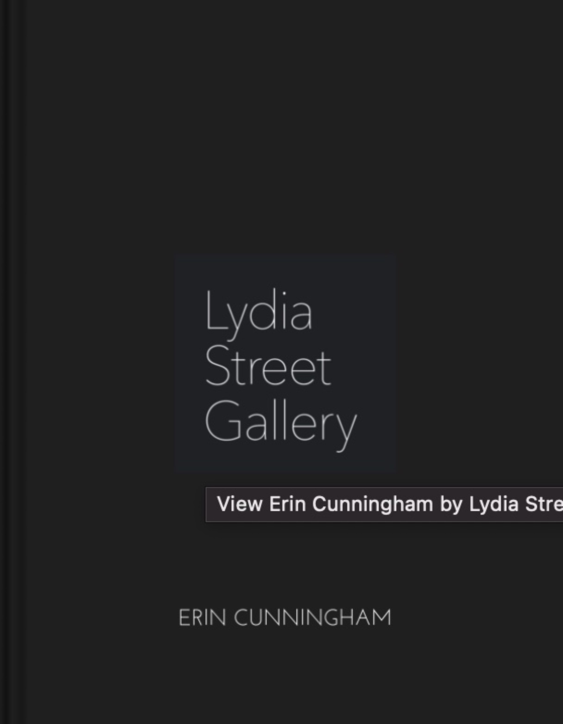 Artist Catalog Erin Cunningham by Lydia Street Gallery Lydia Street