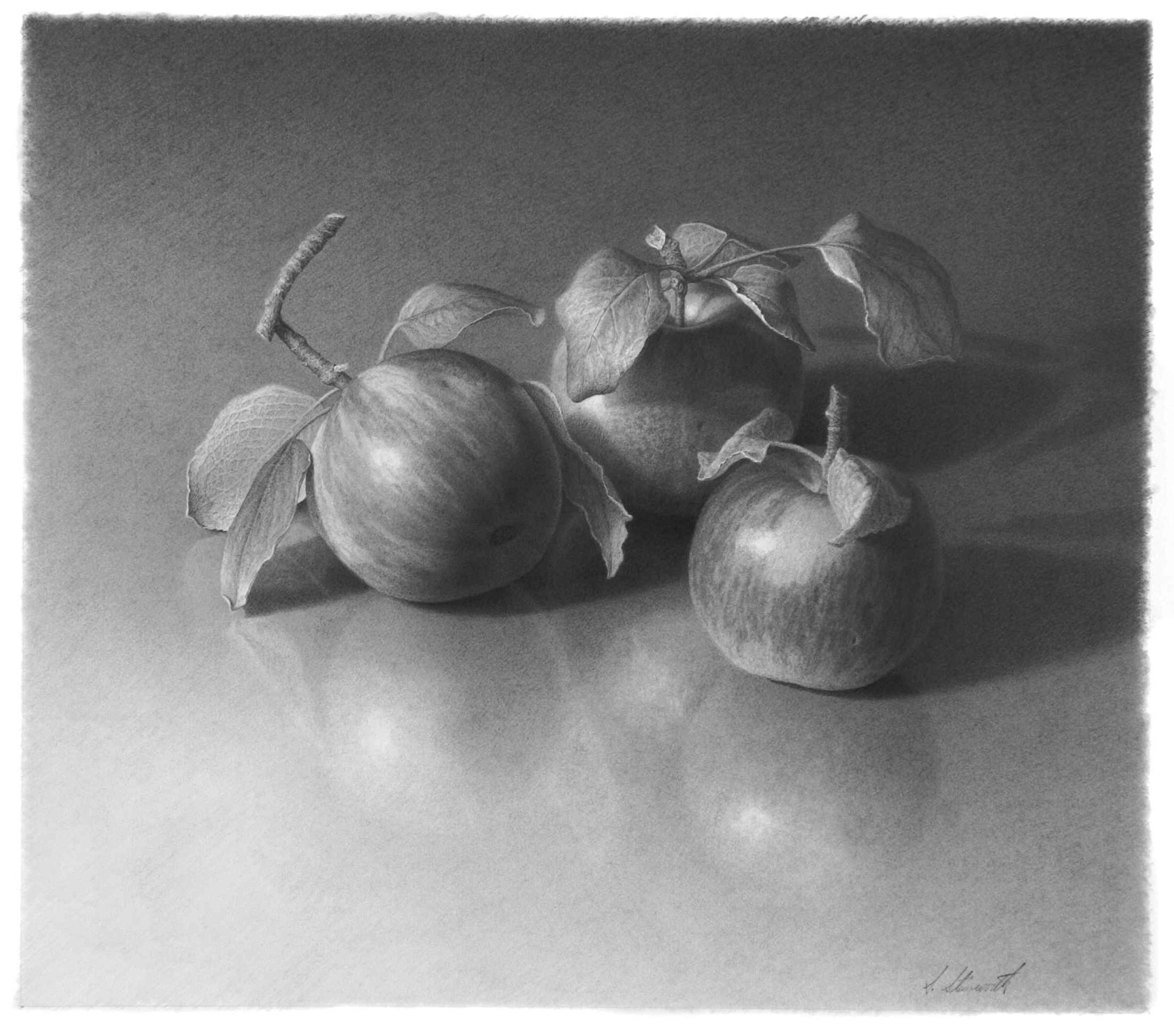 Three Apples by Skip Steinworth