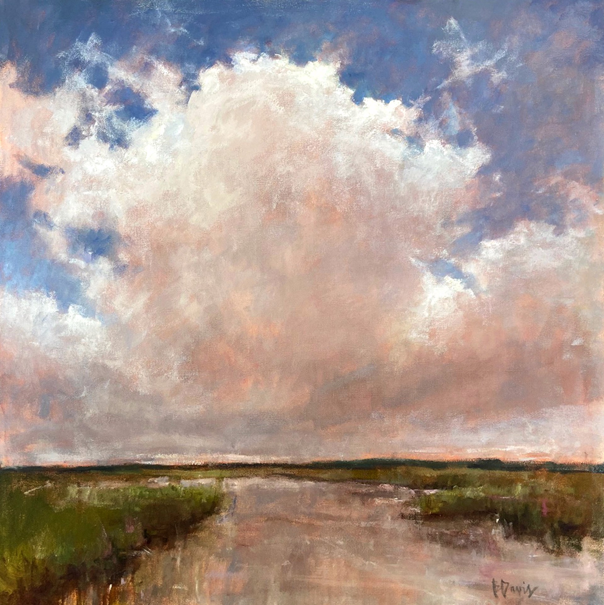 Cloud Cover by Barbara Davis
