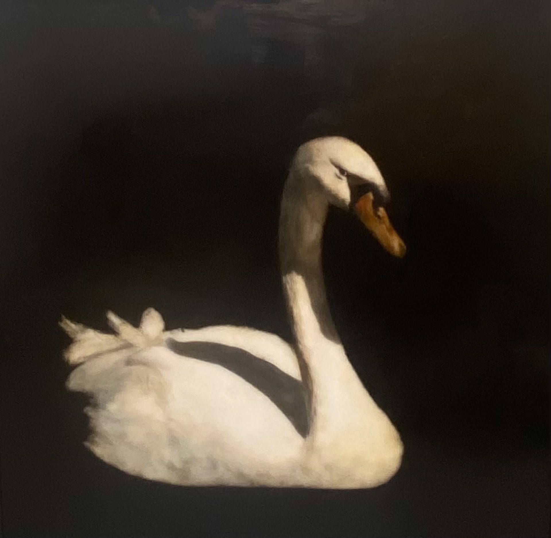Swan Lake by Dawne Raulet