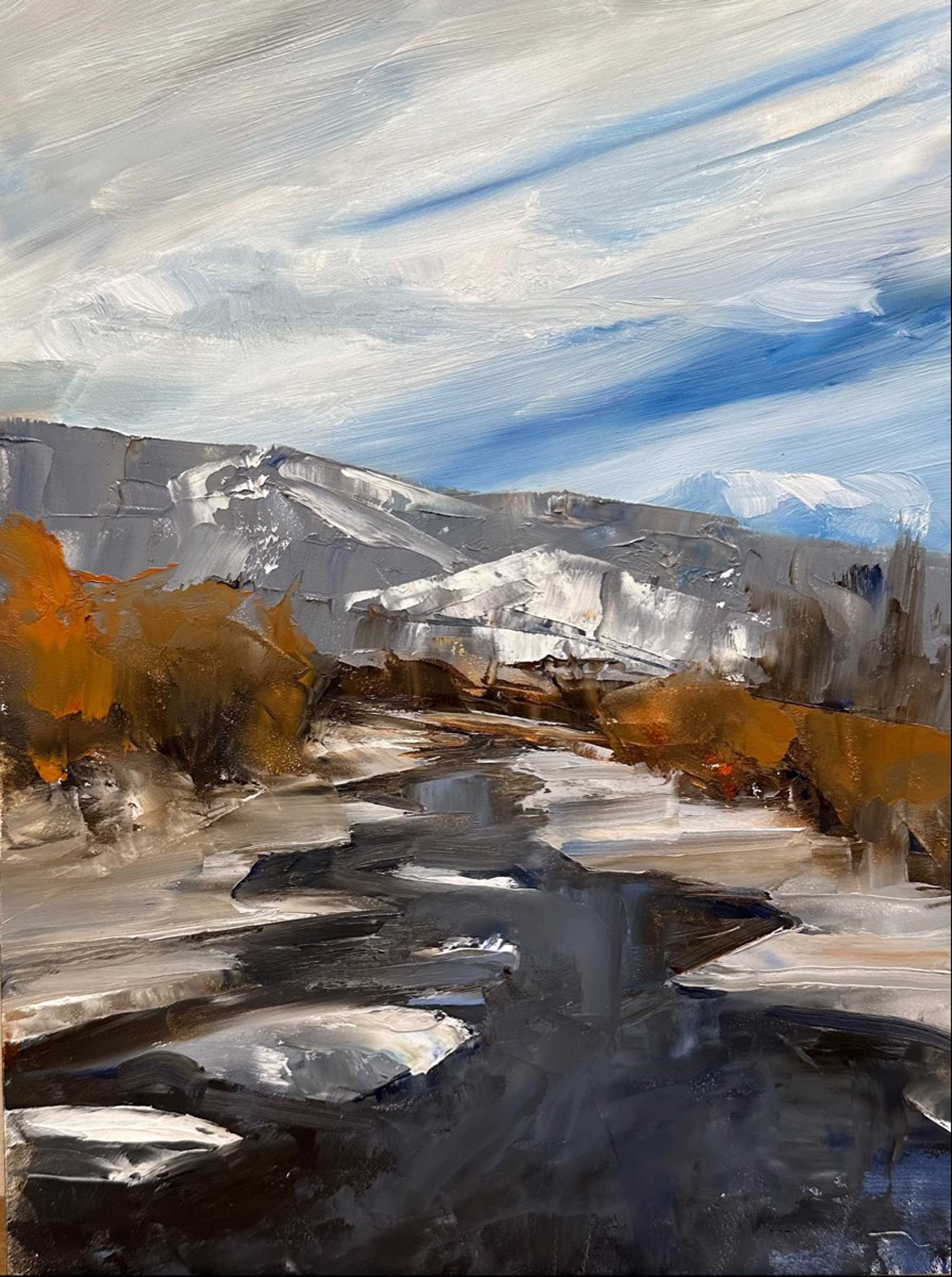 Colorado, Early Winter by Ann Feldman