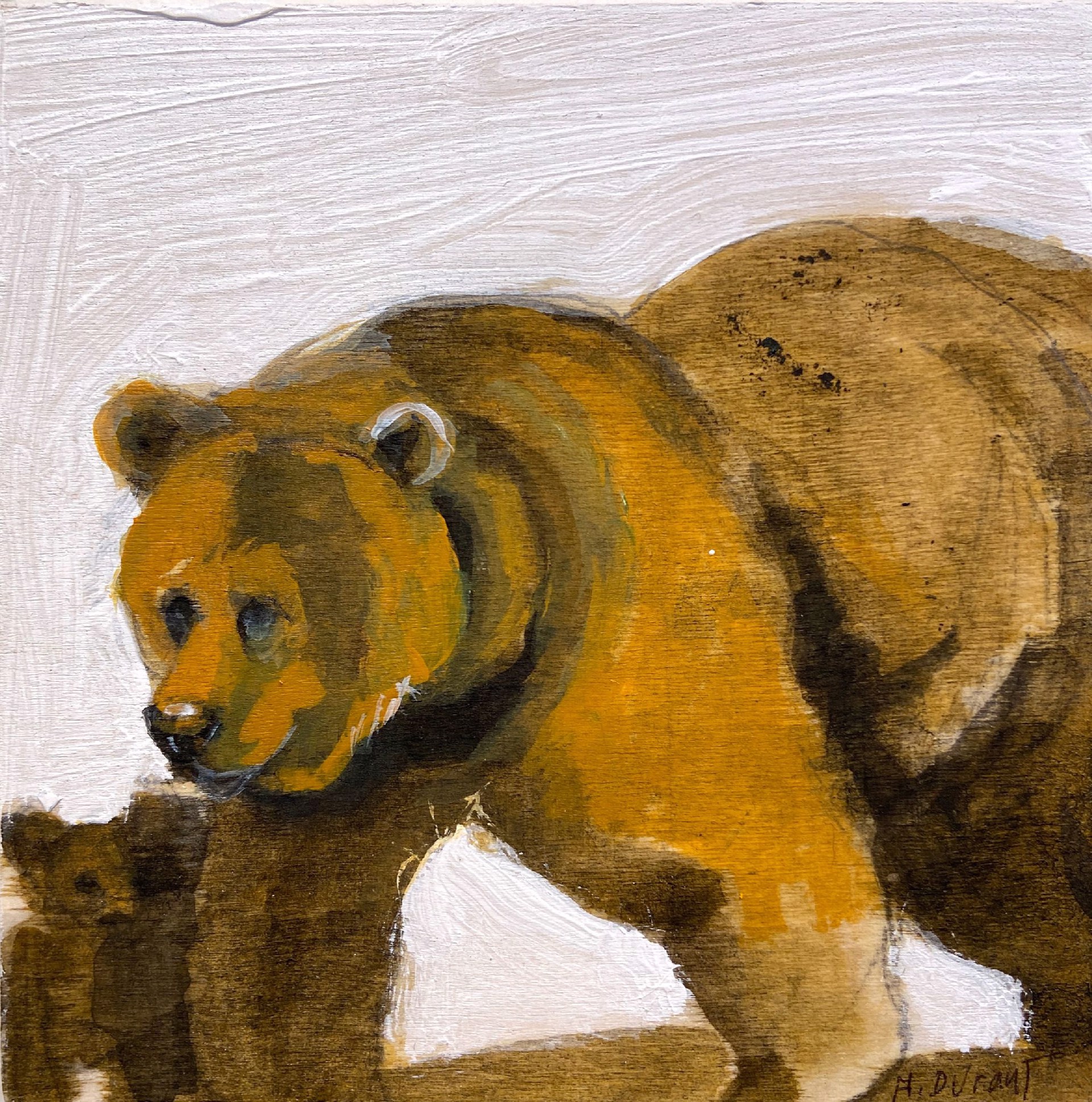 Papa Bear by Helen Durant
