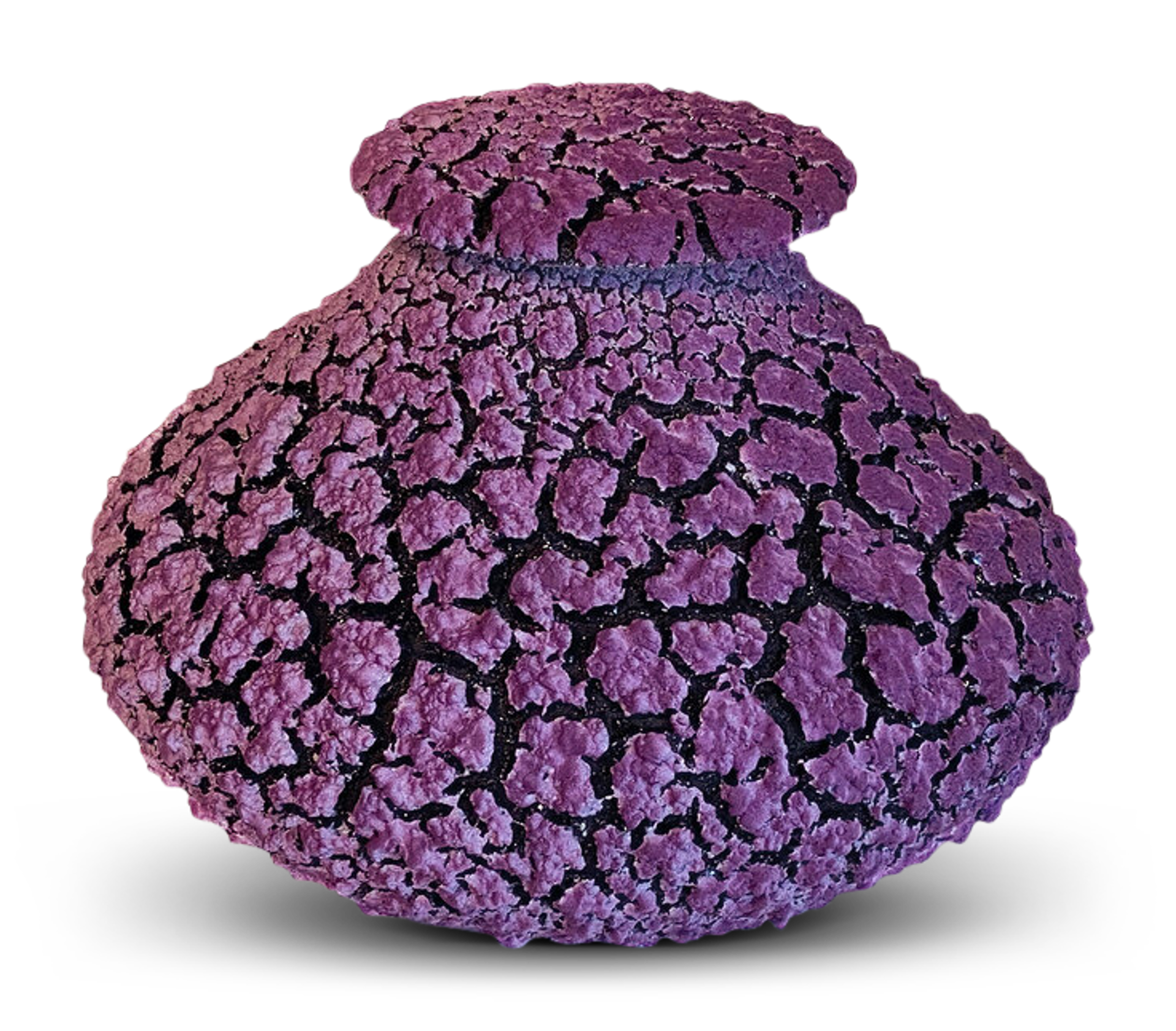 Small Lichen Jar by Randy O'Brien