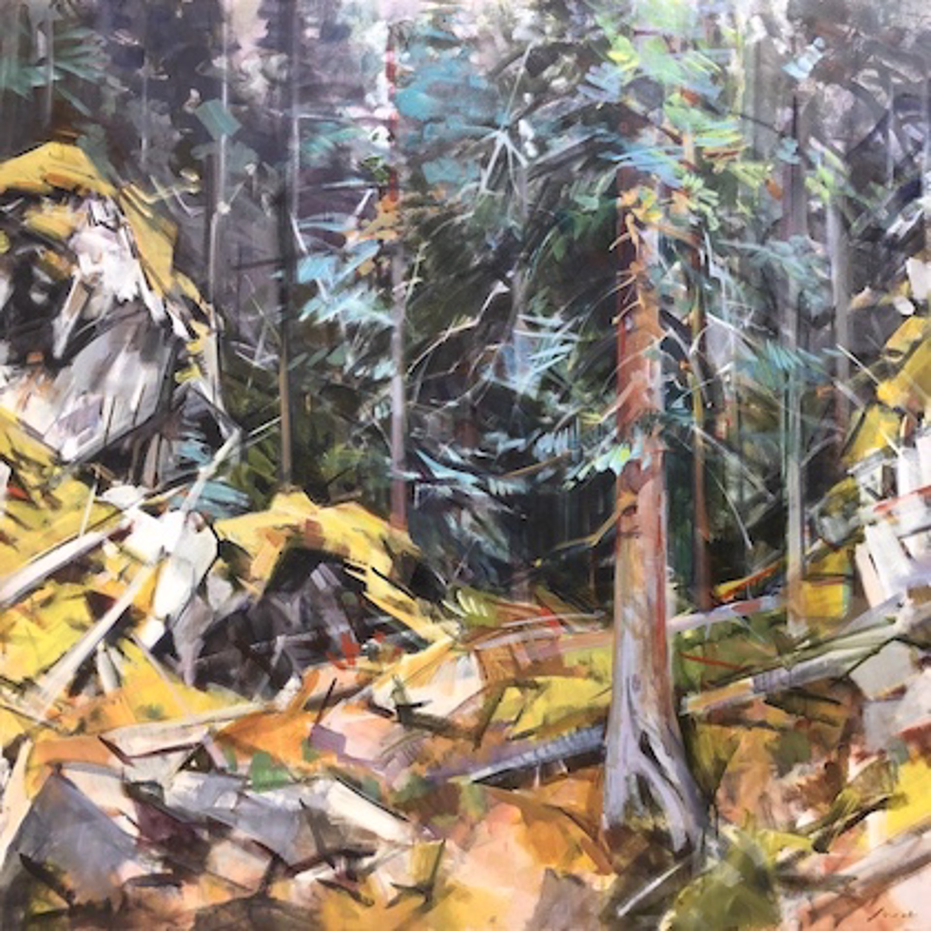 Forest Impression (JNP) by Jim Vest