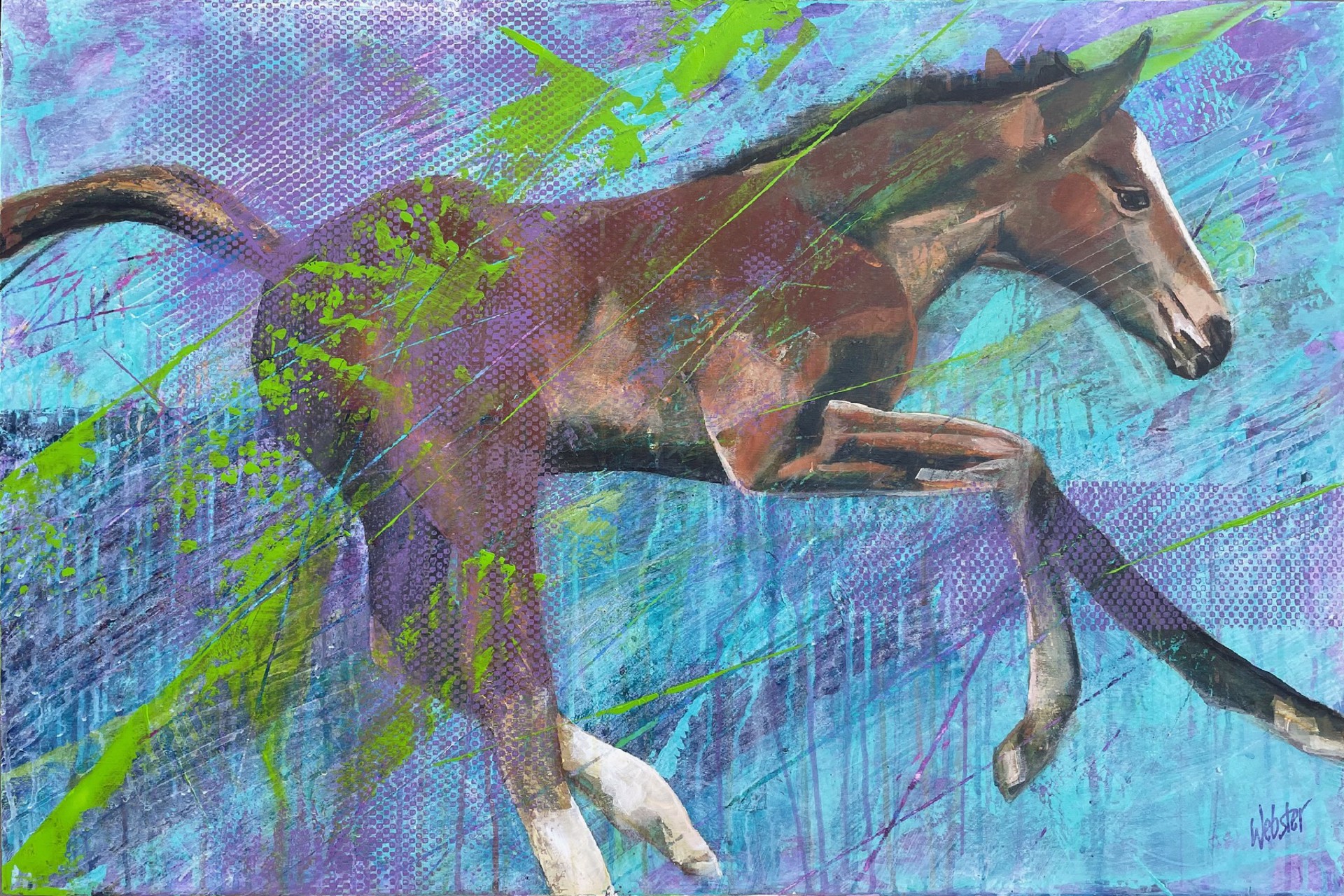 Spirited Foal by John Webster