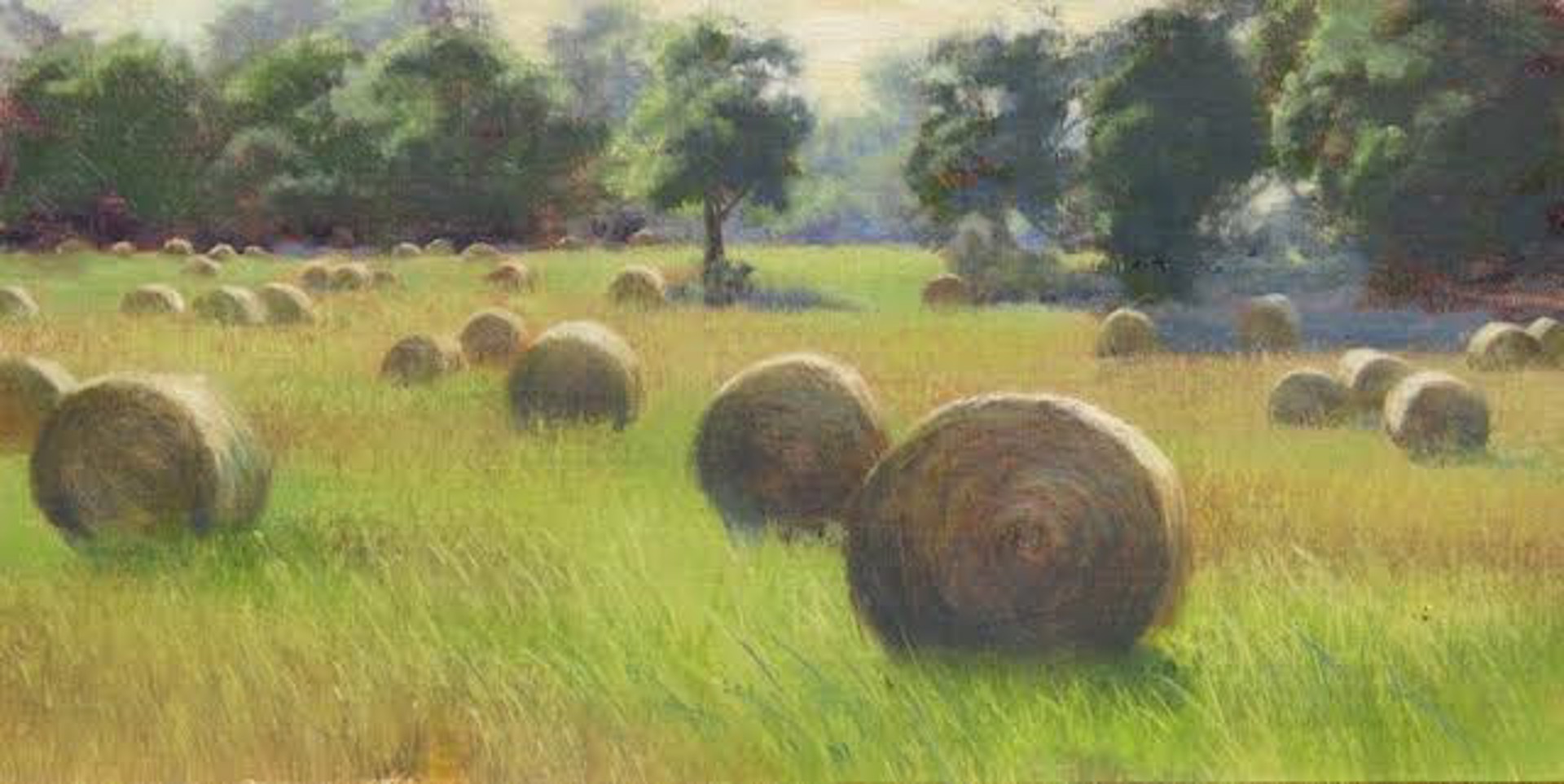Summer Harvest by Mary Erickson