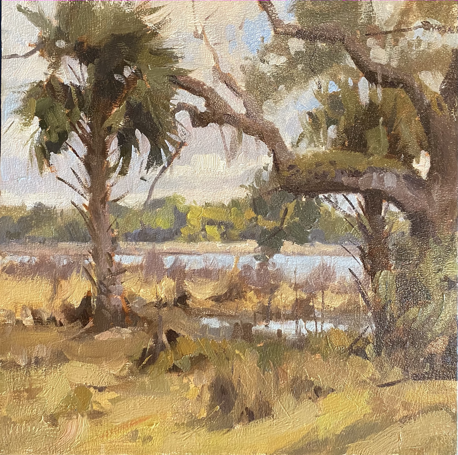 Afternoon on Lake Prevatt by Larry Moore