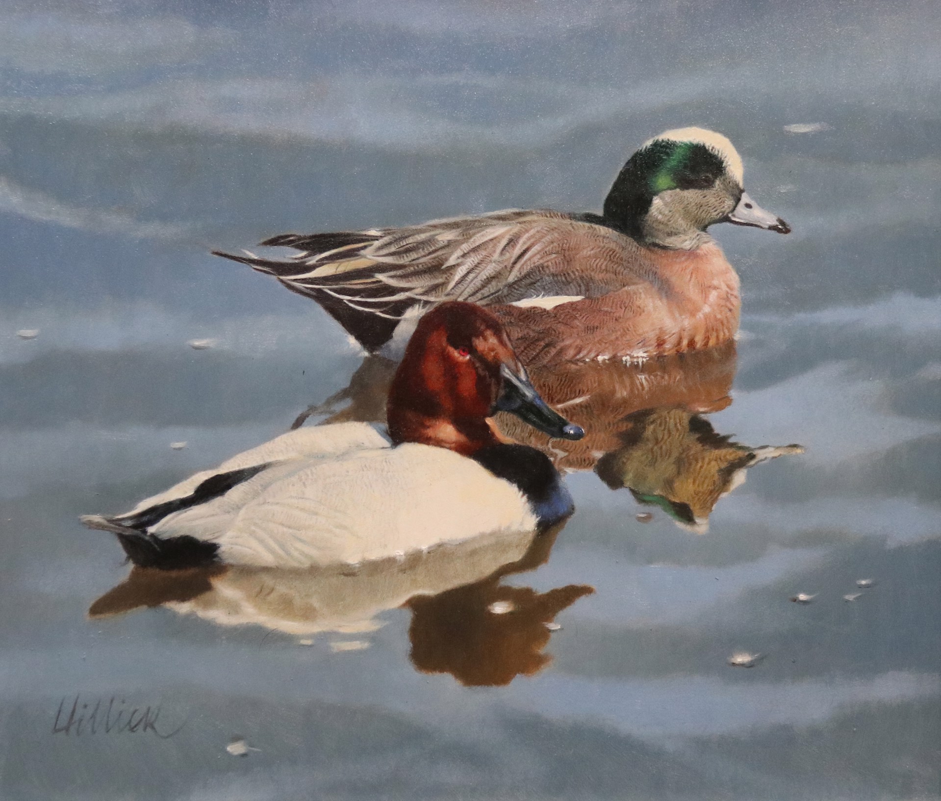 Wigeon and Canvasback by Matthew Hillier