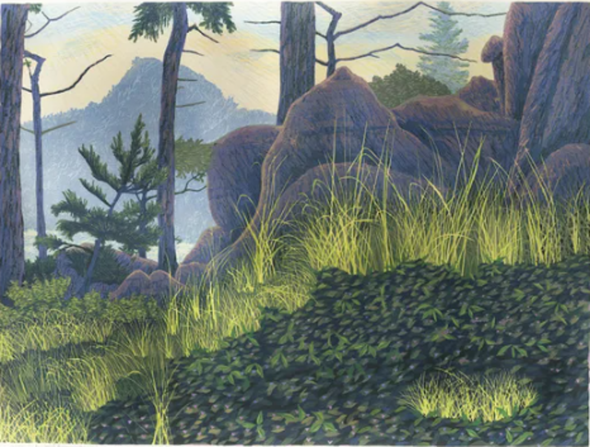 Point Lobos by Gordon Mortensen | J Petter Galleries