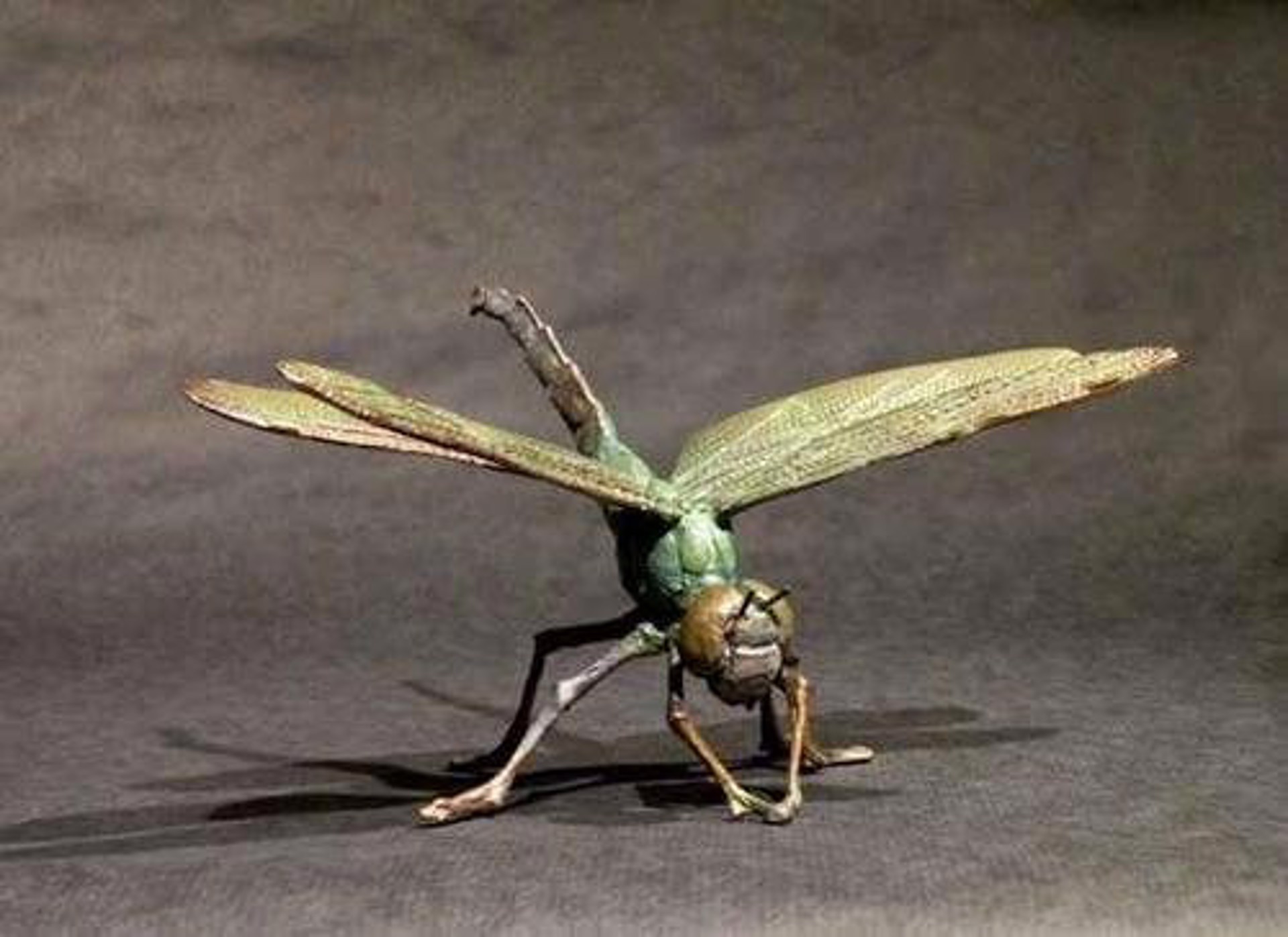 Dragonfly by Dan Chen