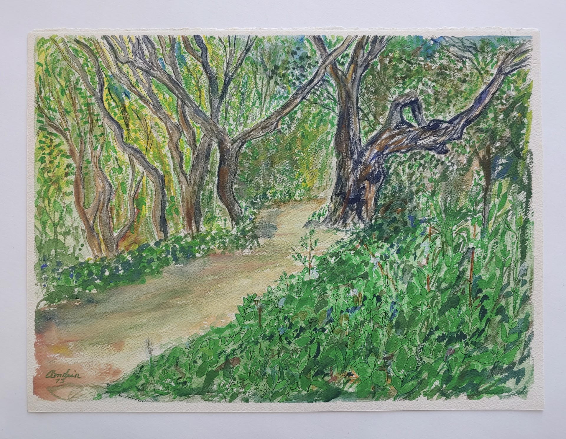 Wooded Path - Watercolor by David Amdur