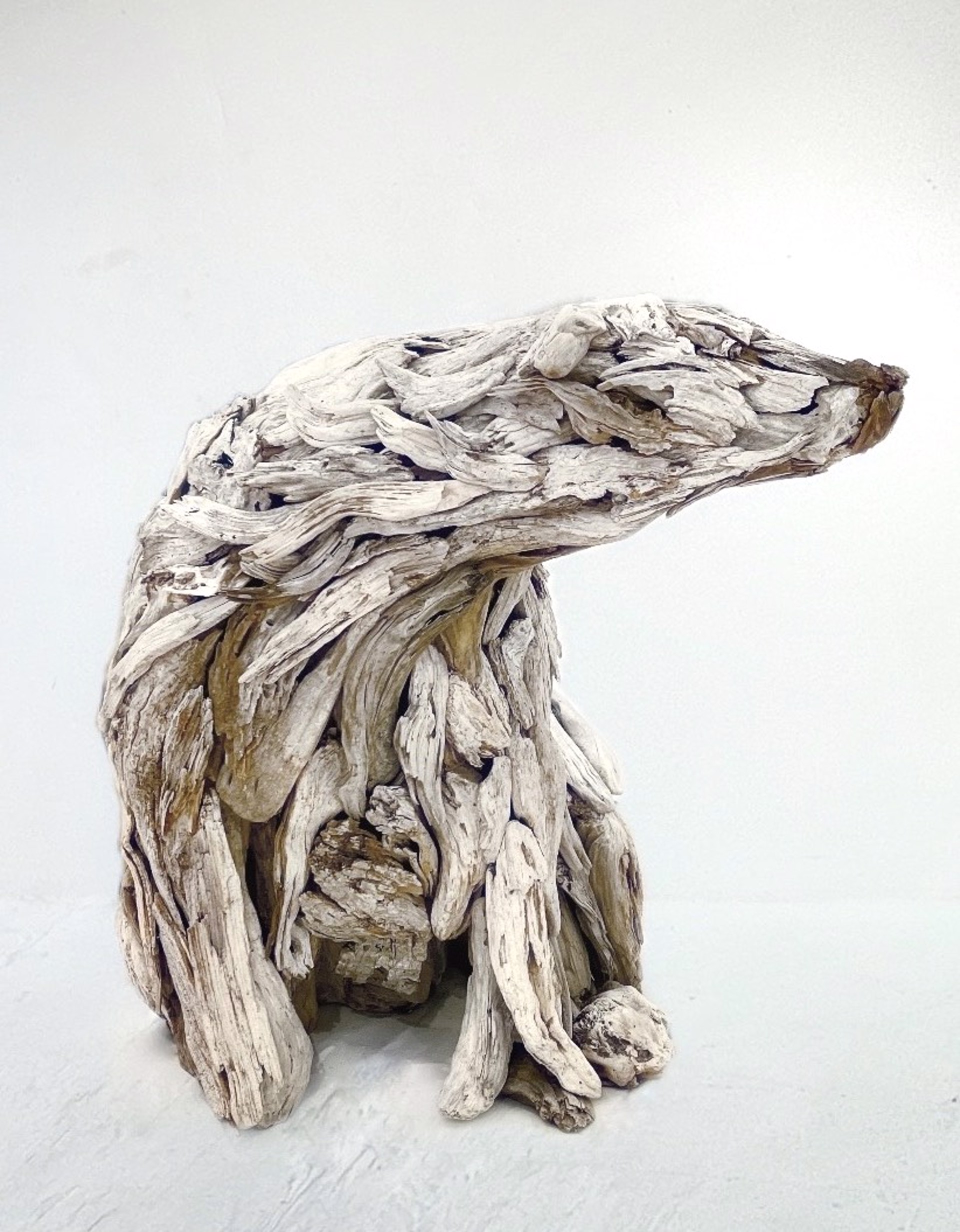 Polar Bear by Dalyn Berryman
