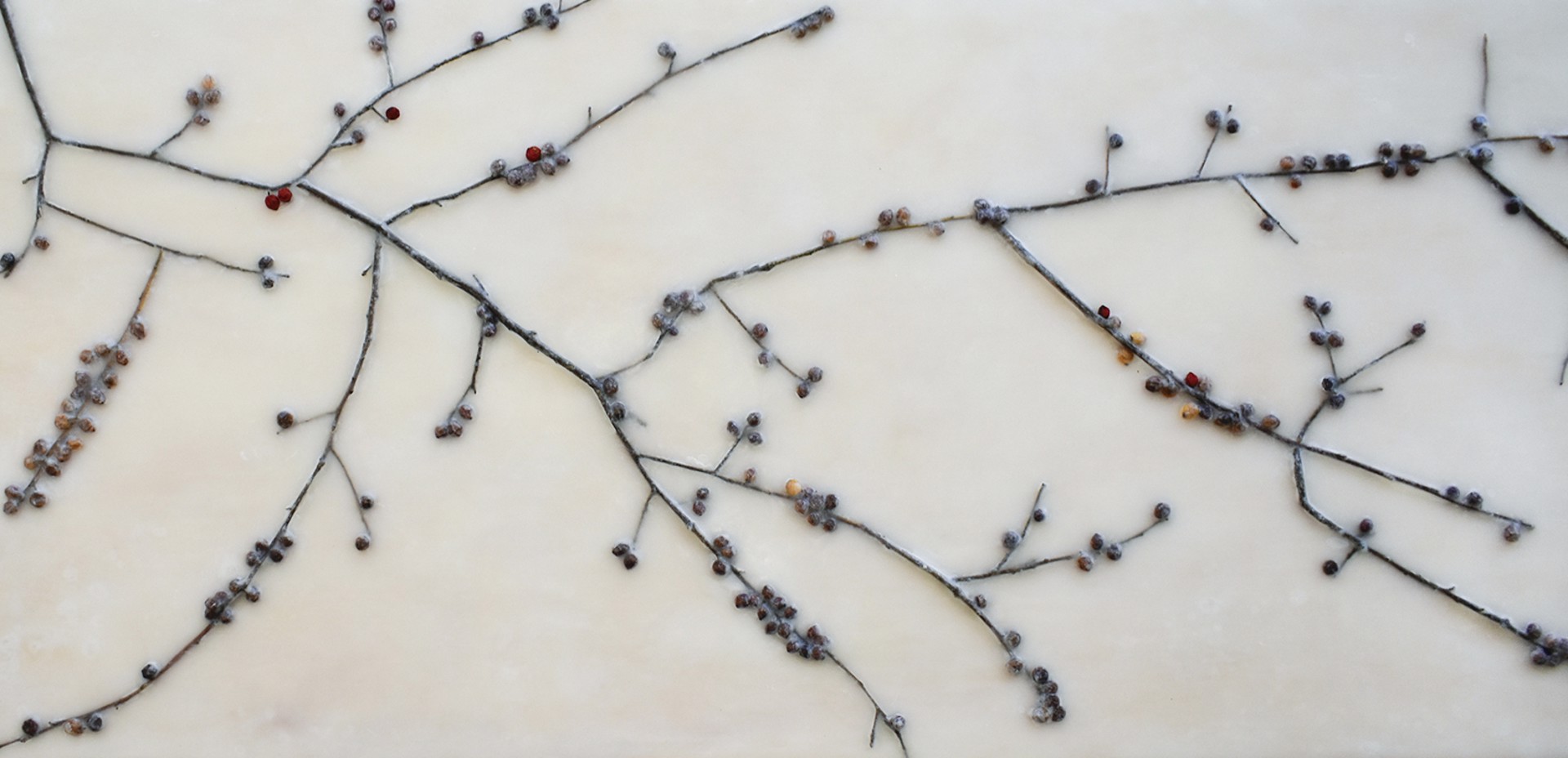 Winter Berry Diptych by Allyson Levy