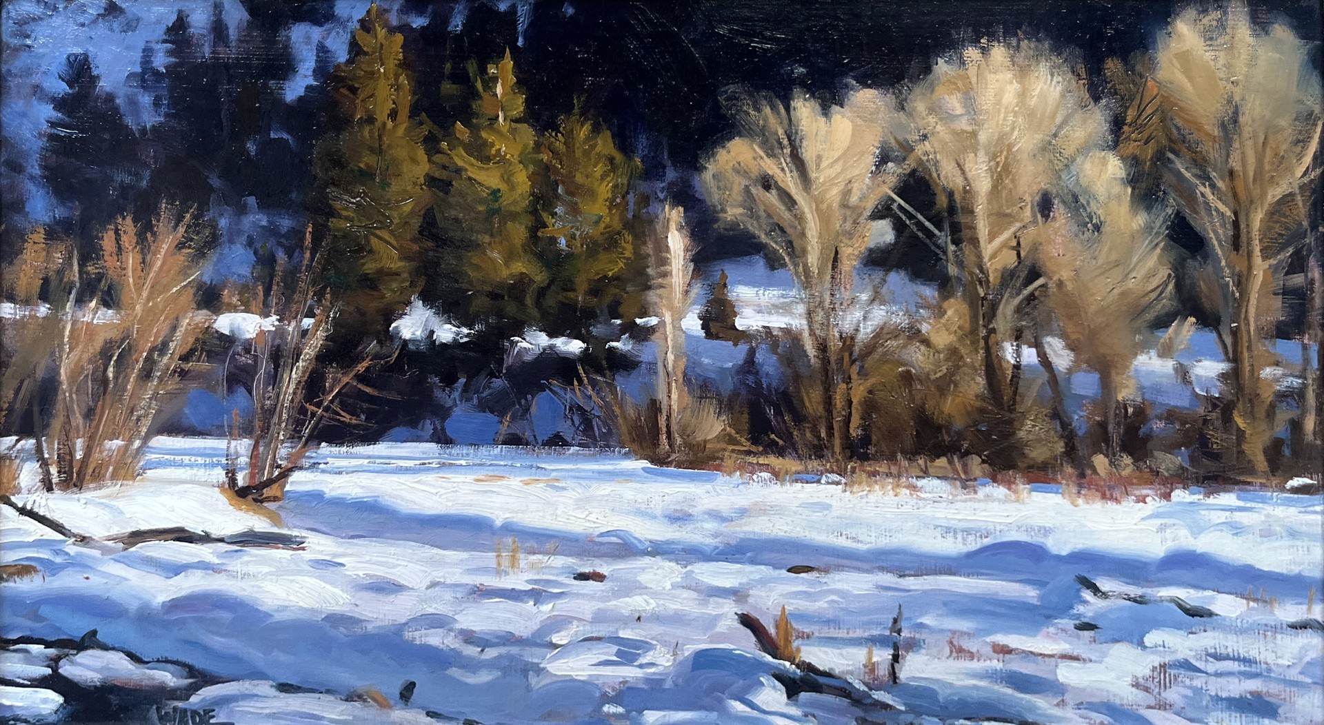 Warm Winter Afternoon by Dave Wade