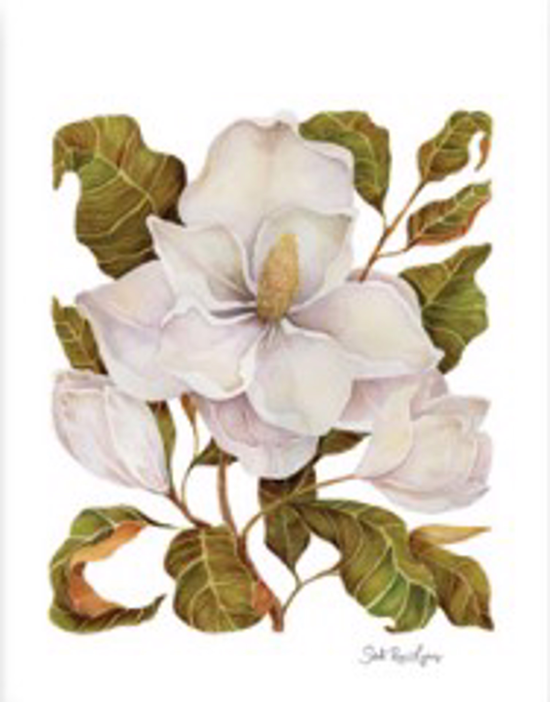 Sarah Rose Lyons- Linen Art Print- Magnolia by GVL CMKT