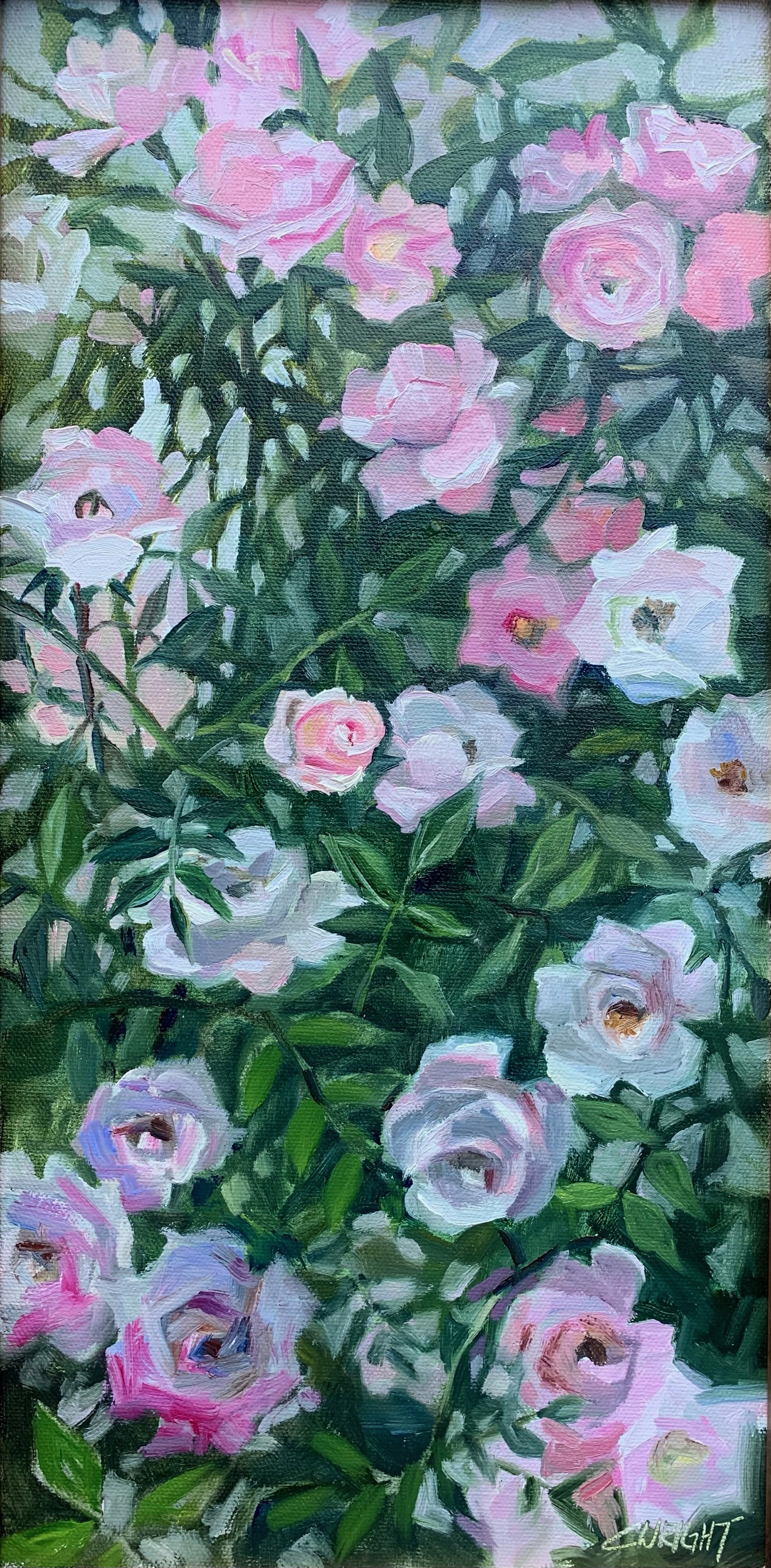 Winter Garden Roses by Cory Wright