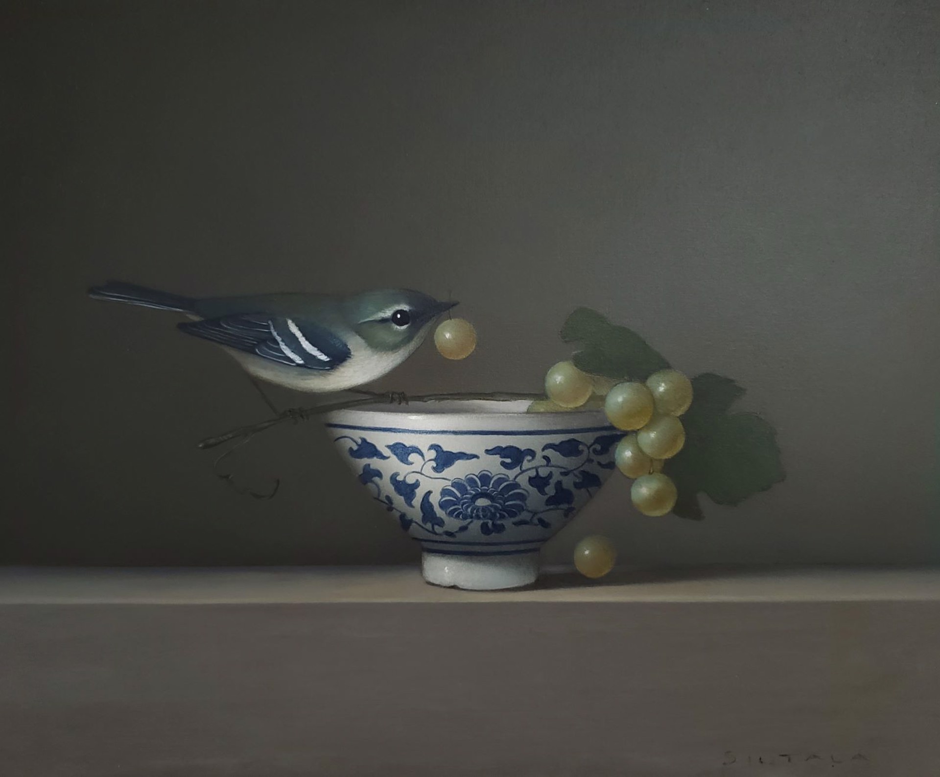 Still life with Cerulean Warbler by Sarah Siltala