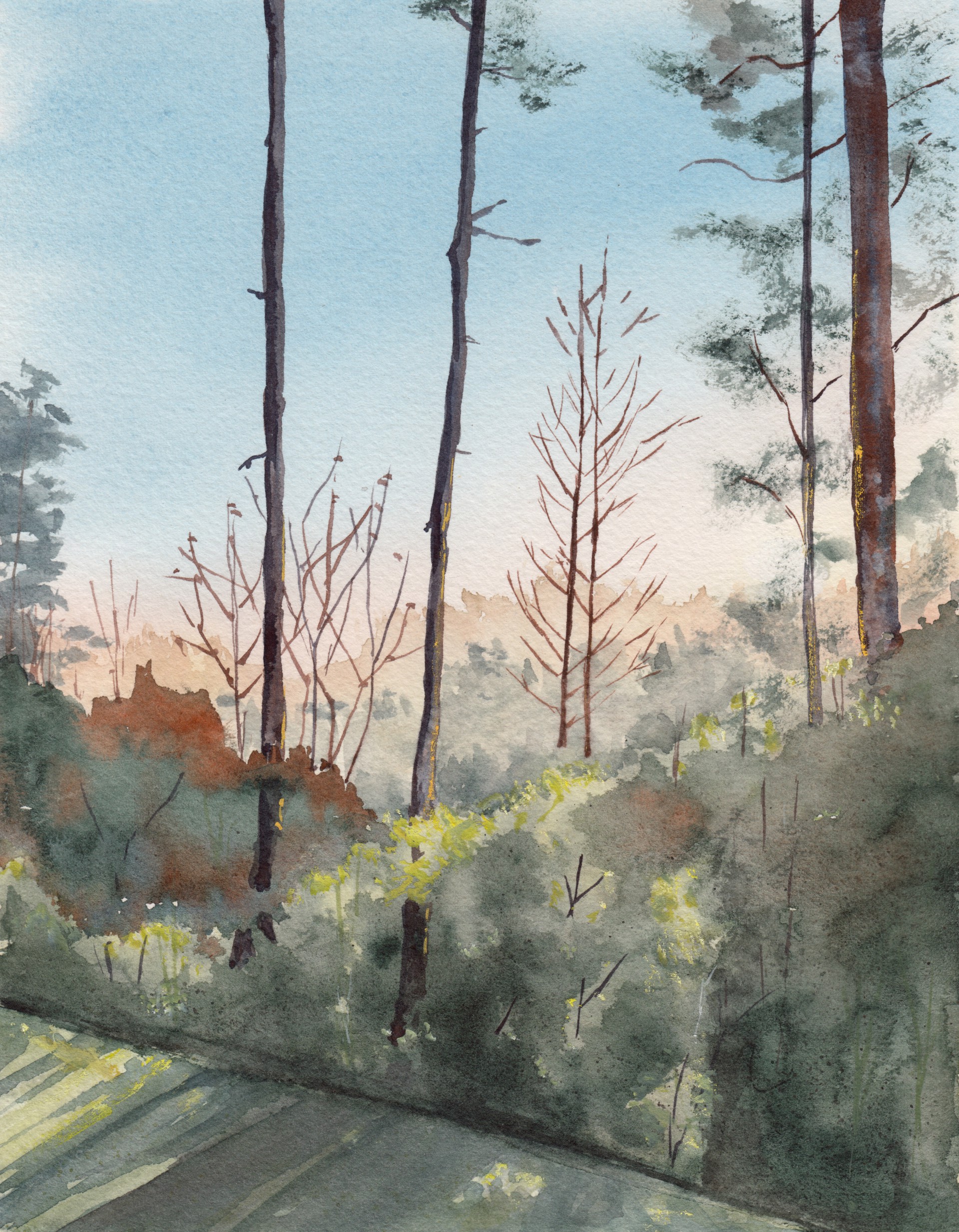 Bronwen McCormick, landscape, watercolor