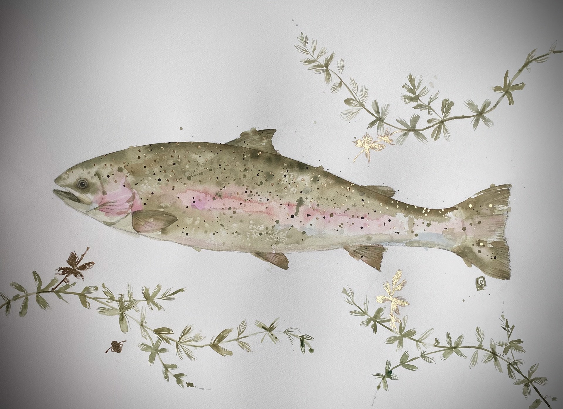 Milfoil Trout I by Laura Roebuck