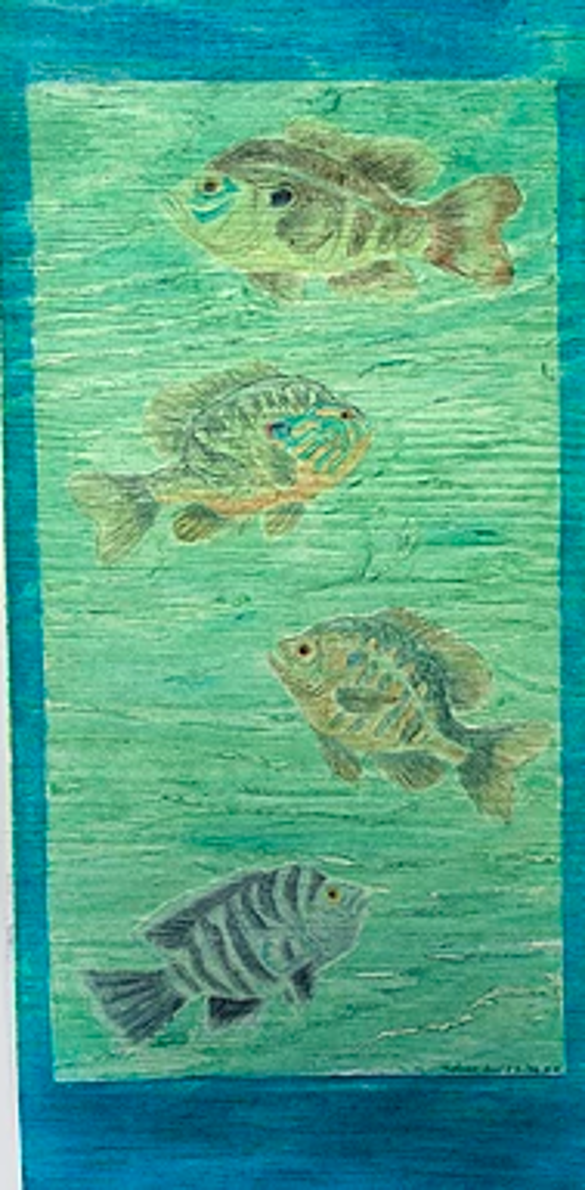Sunfish of the Pedernales by David Hefner