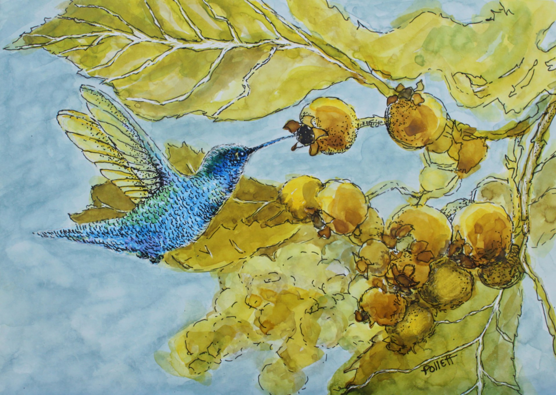 Hummer and Fruit by Cynthia Jewell Pollett