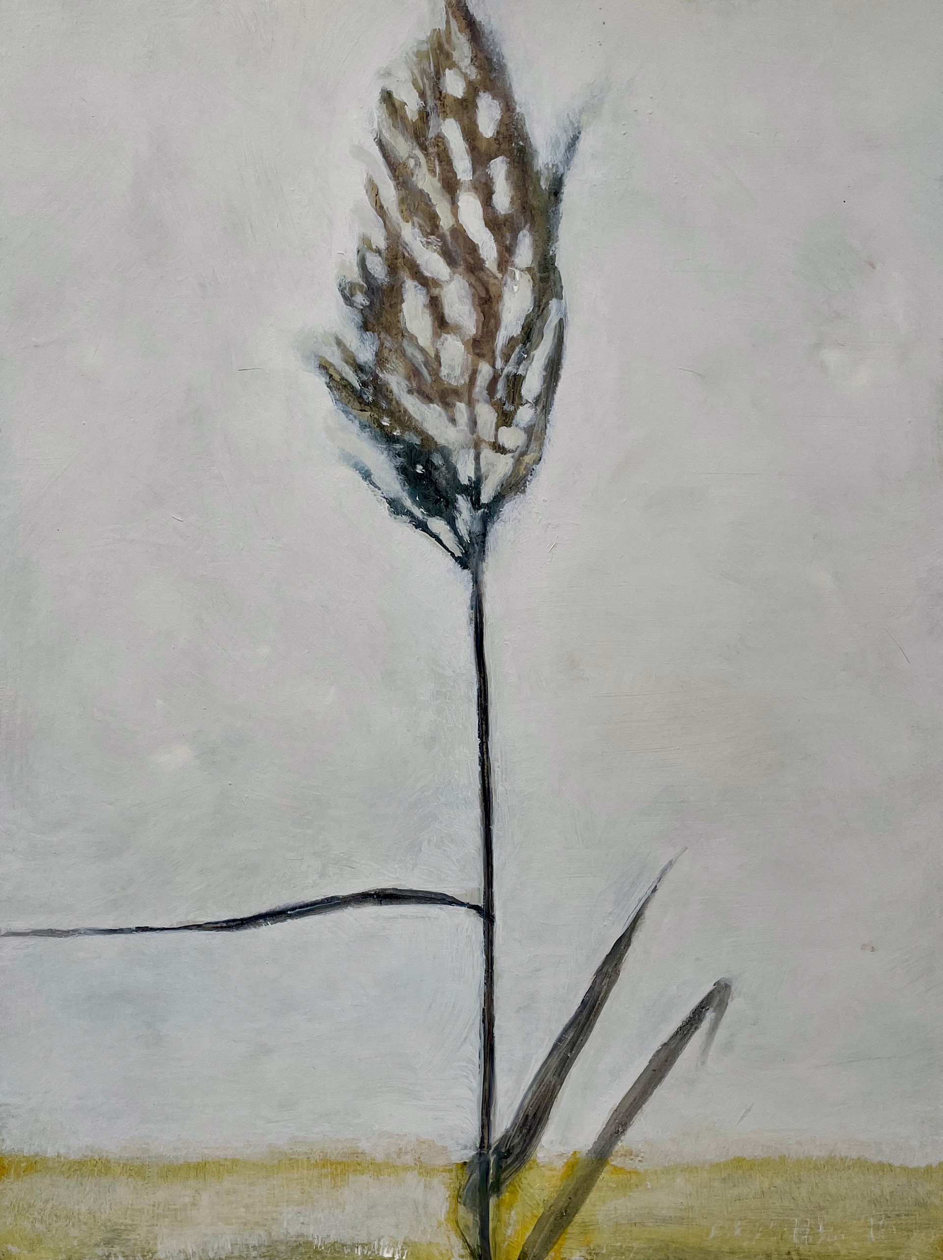 Grasshead by David Konigsberg