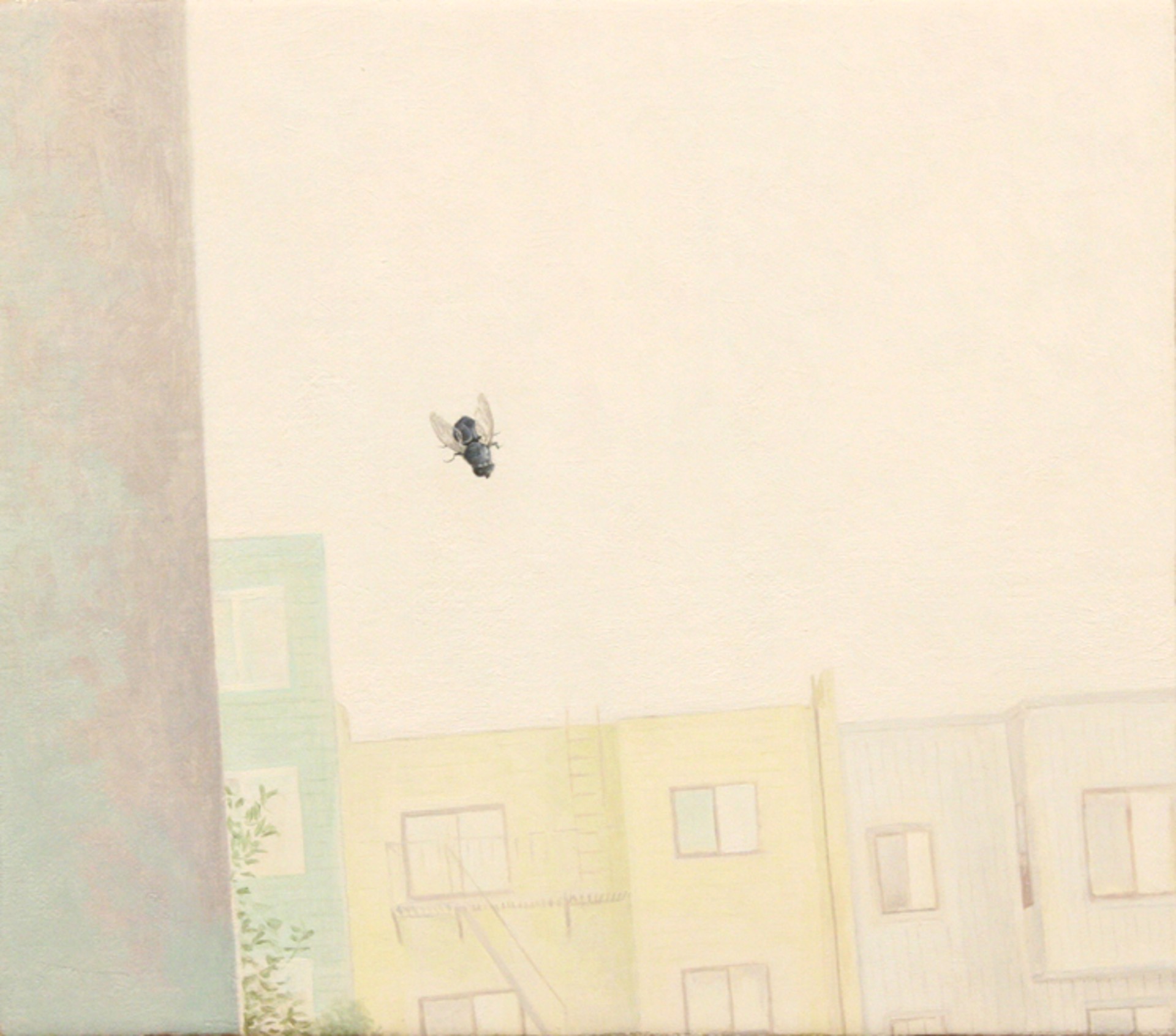 Fly by Travis Collinson