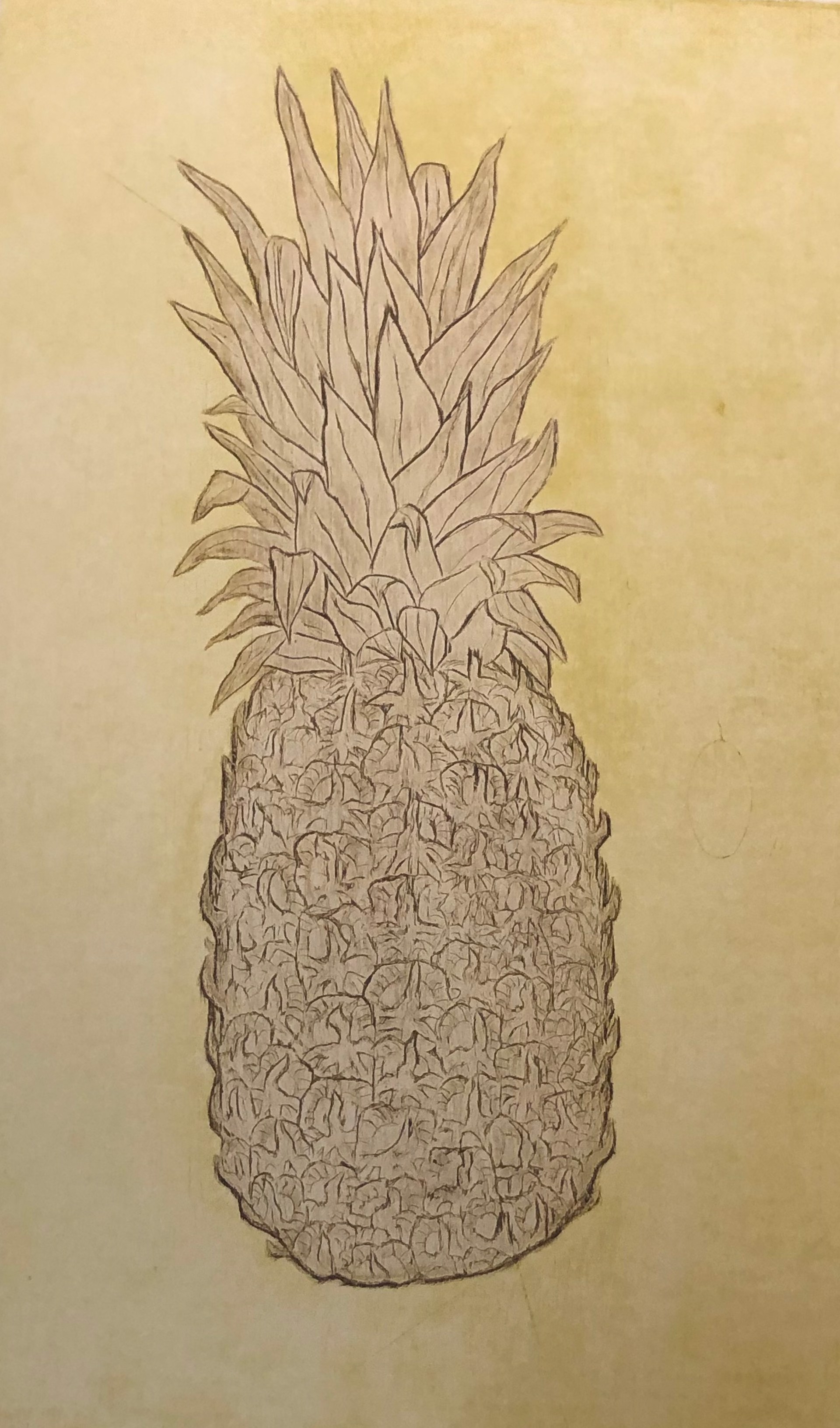 Pineapple (monochromatic) by David Hefner