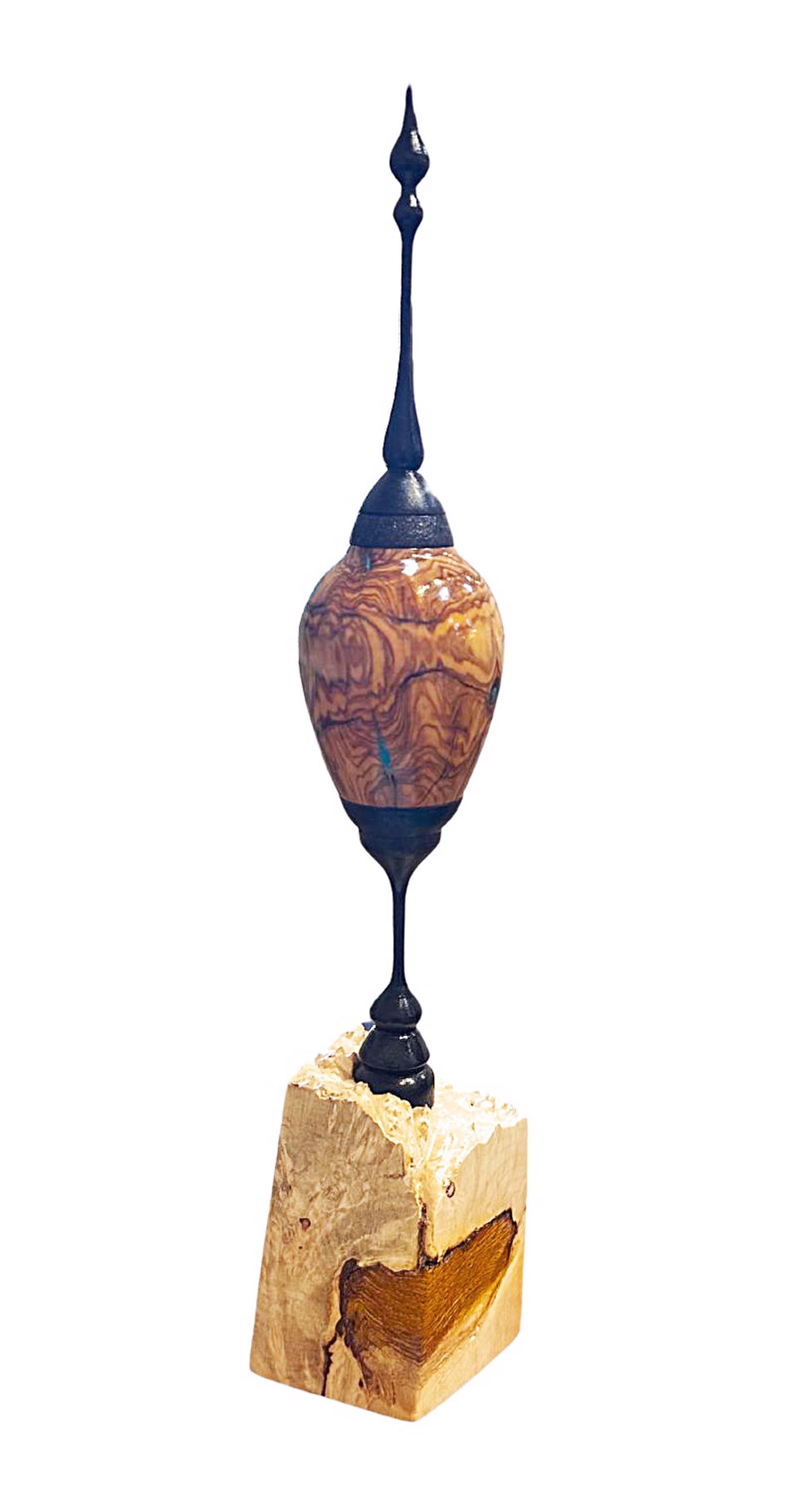 Spalted Box - Elder Hollow Form with Spalted Elder Base by Jim Scott