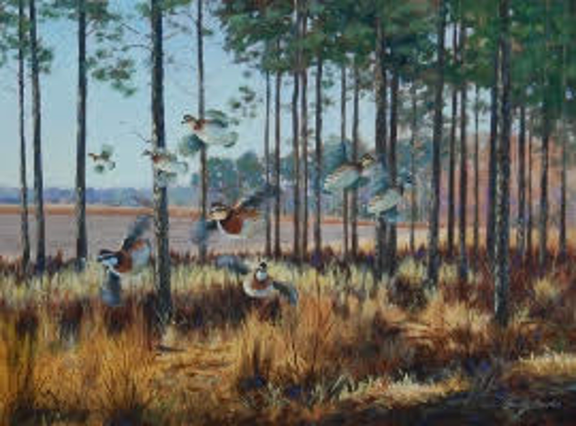  by Bucky Bowles