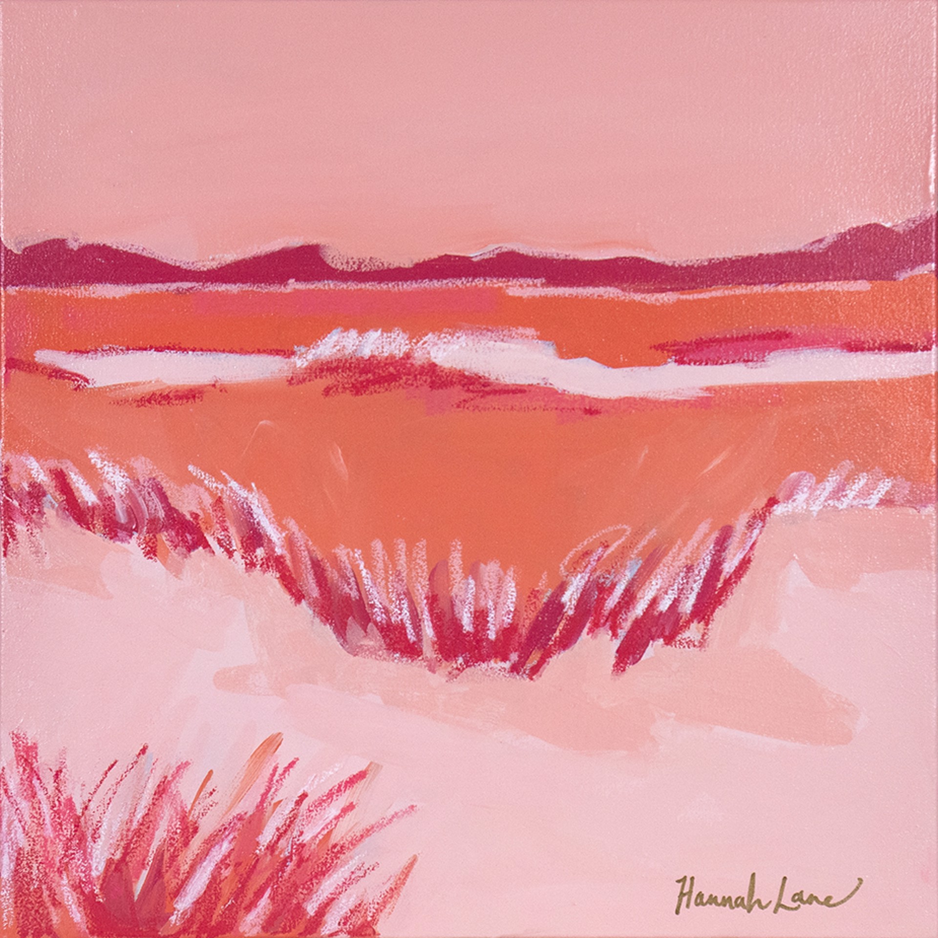 Color Bomb Marsh Pink by Hannah Lane