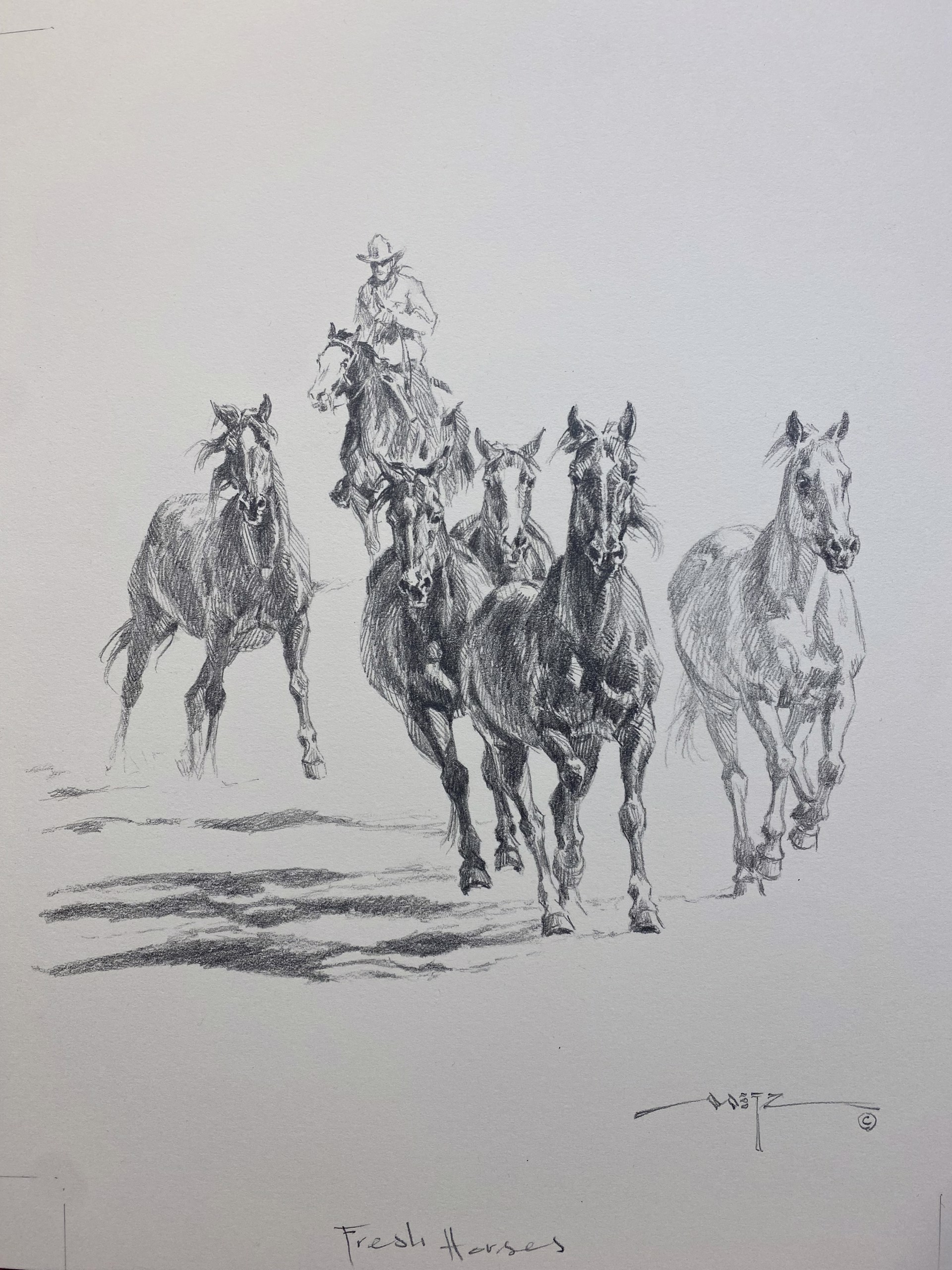 FRESH HORSES by Dan Metz