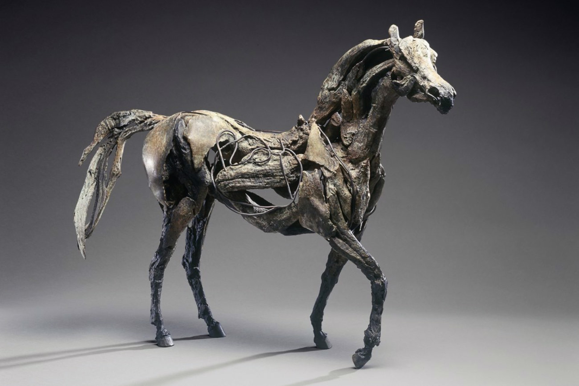 RaRa (Horse) by Heather Jansch