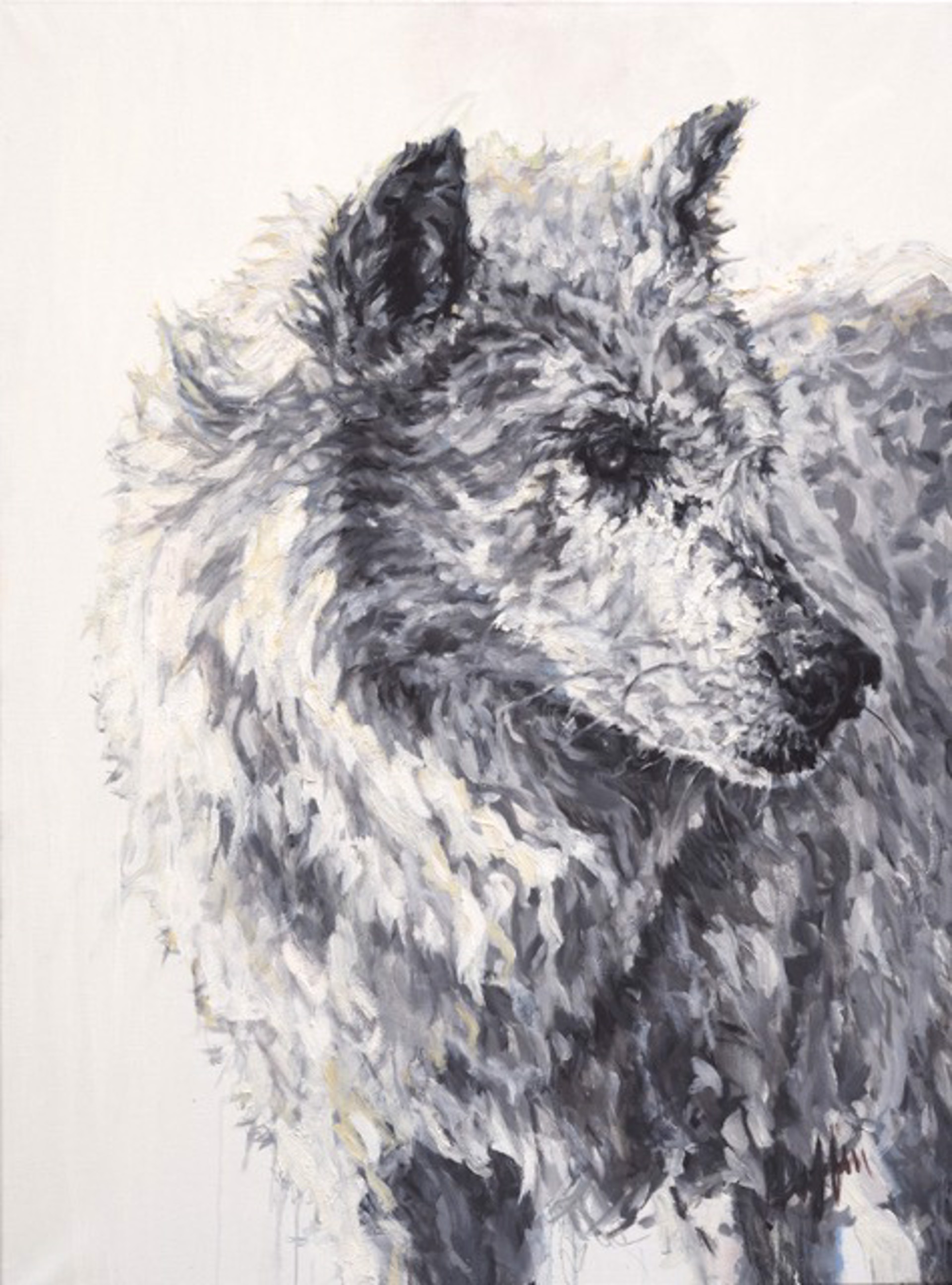An Original Black And White Oil Painting Of A White Wolf Portrait With A White Background, By Patricia Griffin, Available At Gallery Wild