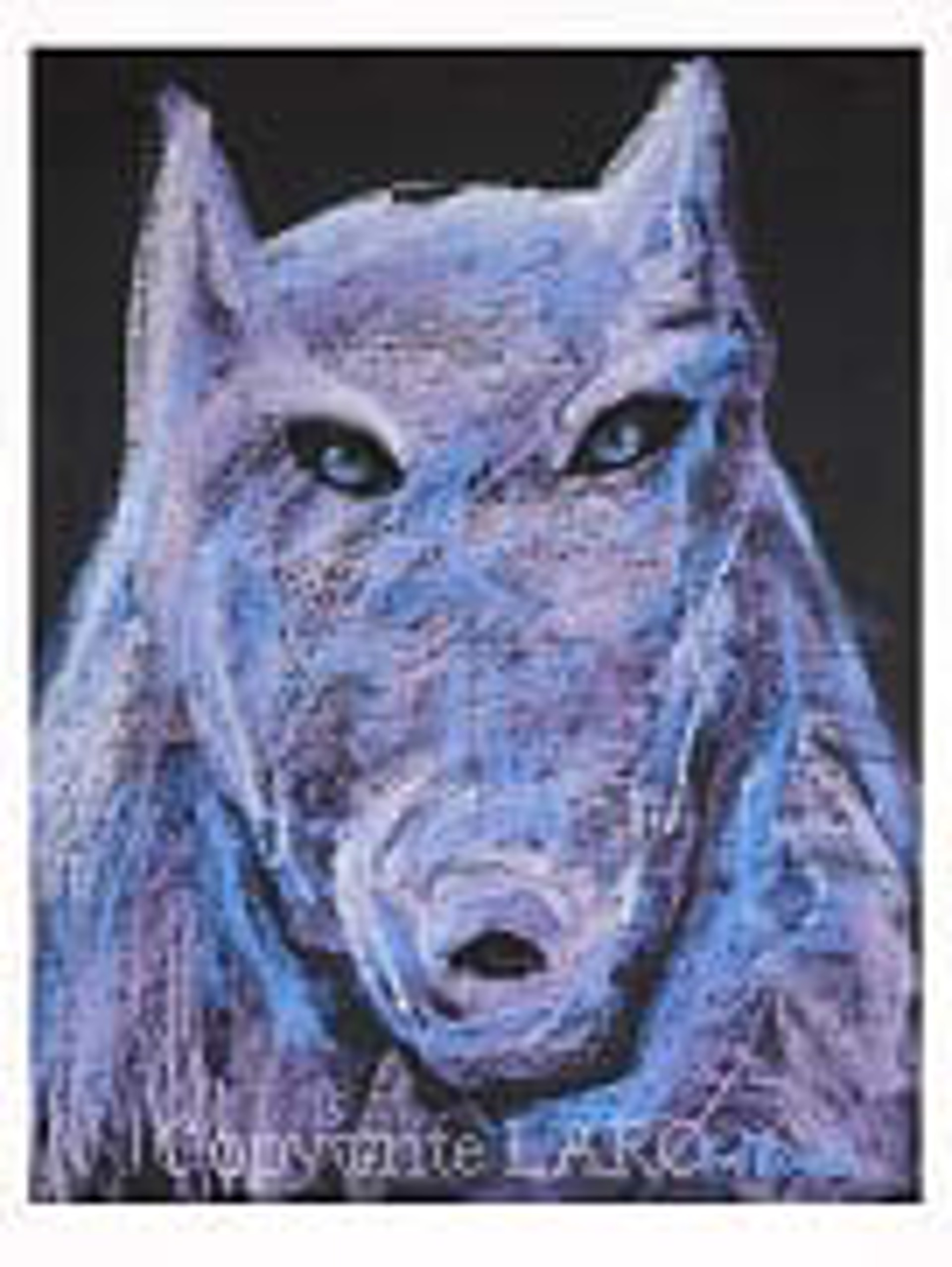 THE PACK: PURPLE WOLF by Carole LaRoche