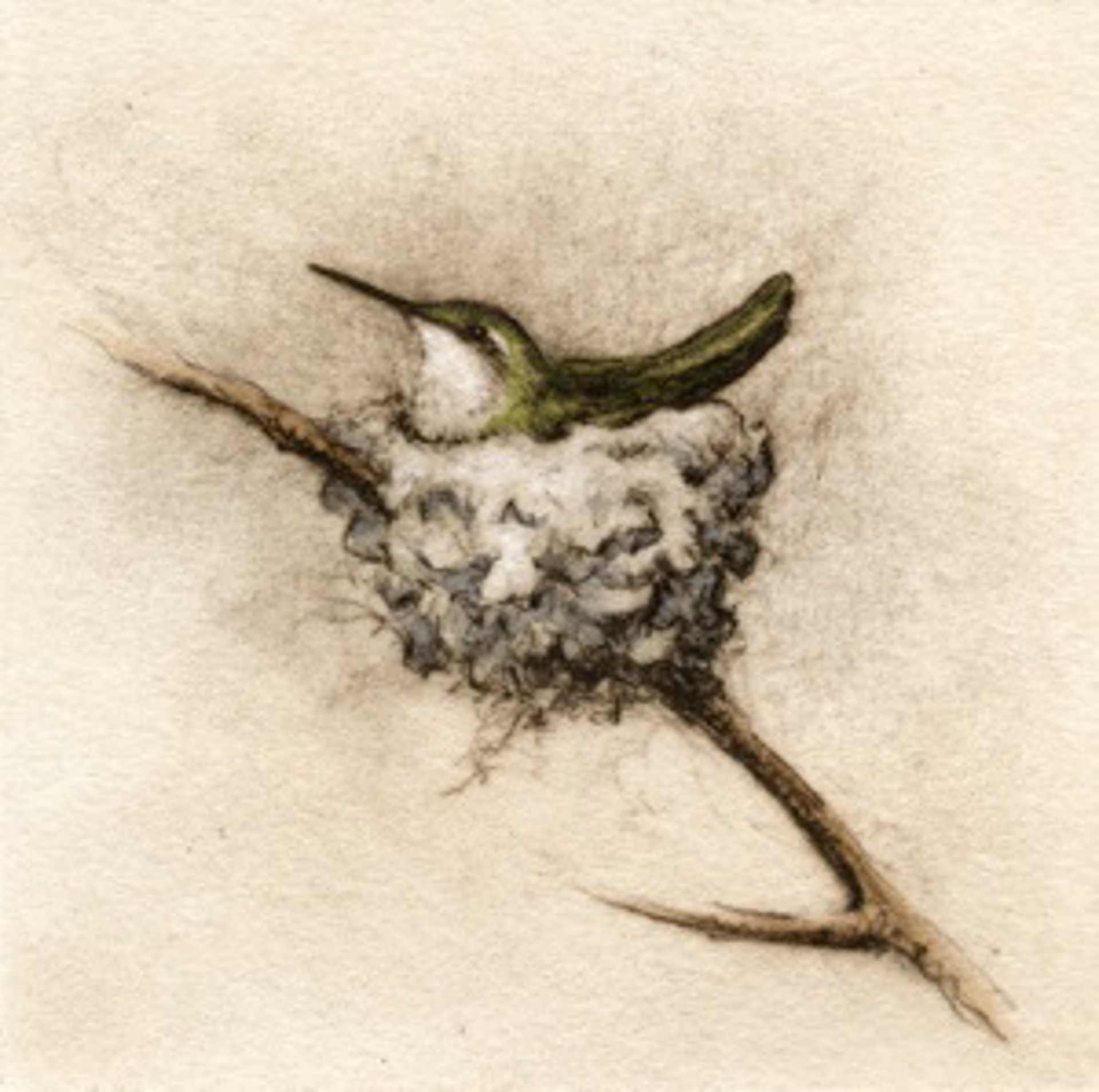Nesting Hummer_unframed, #48/100 by Melanie Fain