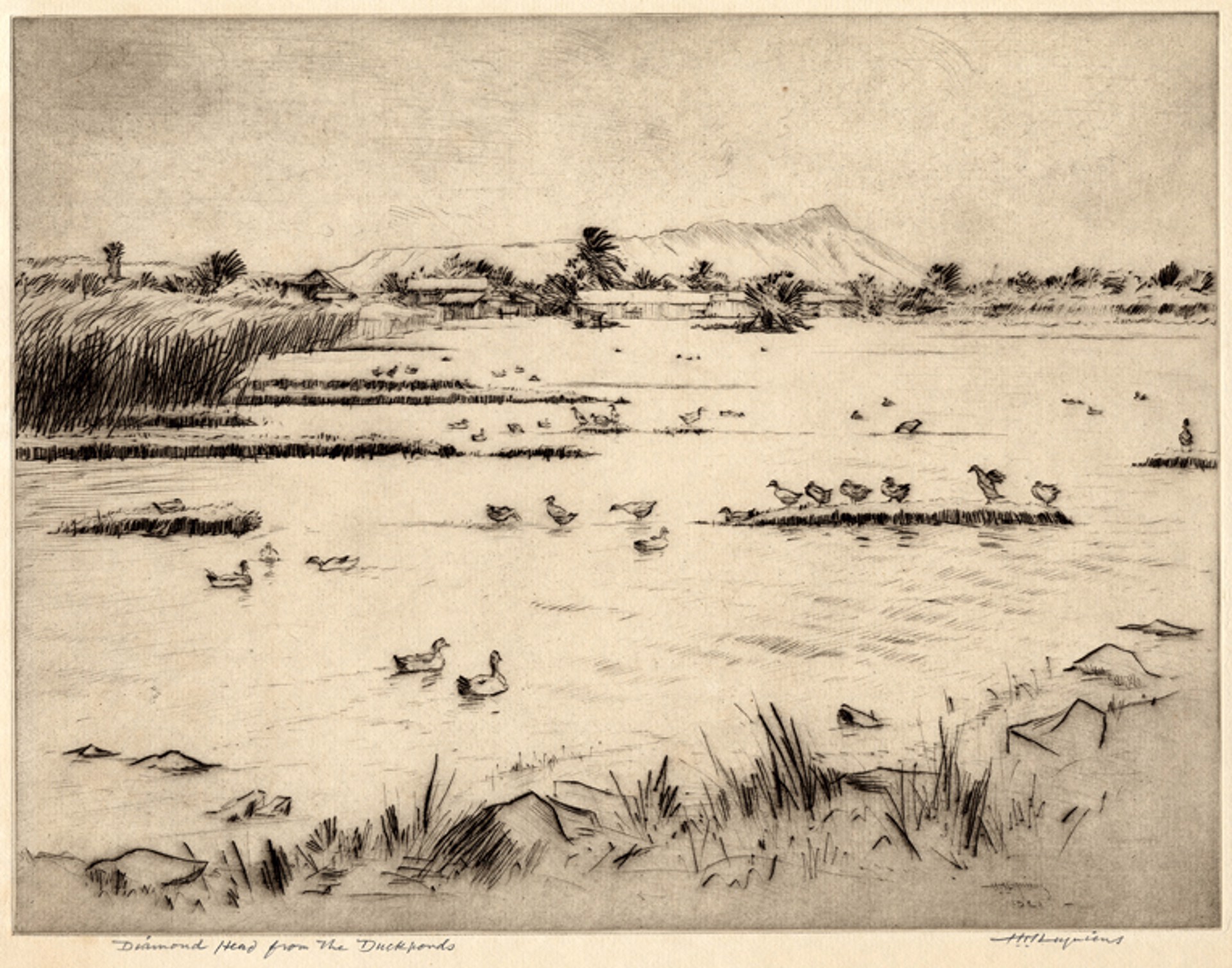 Diamond Head from the Duckponds by Huc Mazelet Luquiens