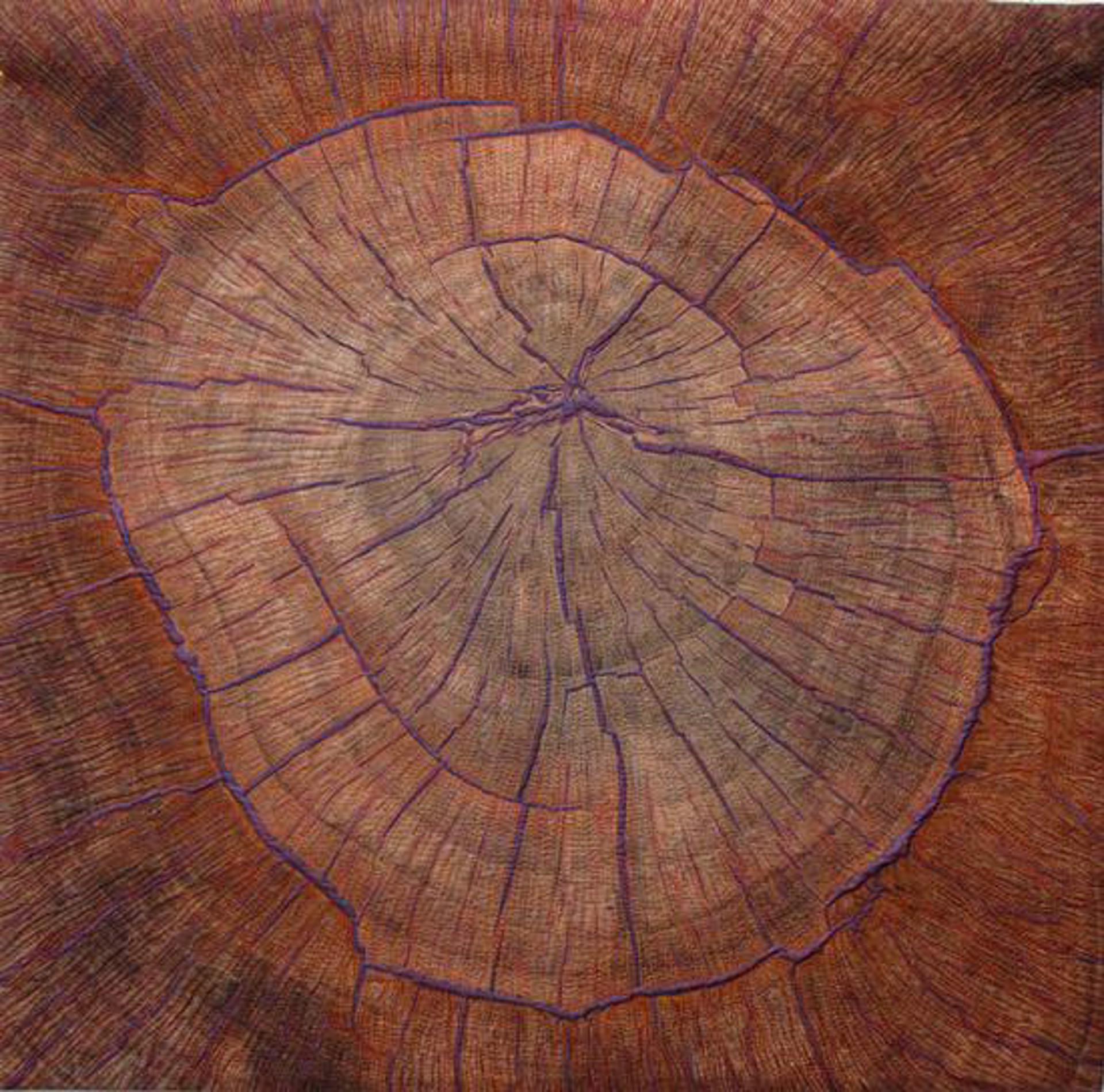 Tree Ring Mandala by Martha Cole