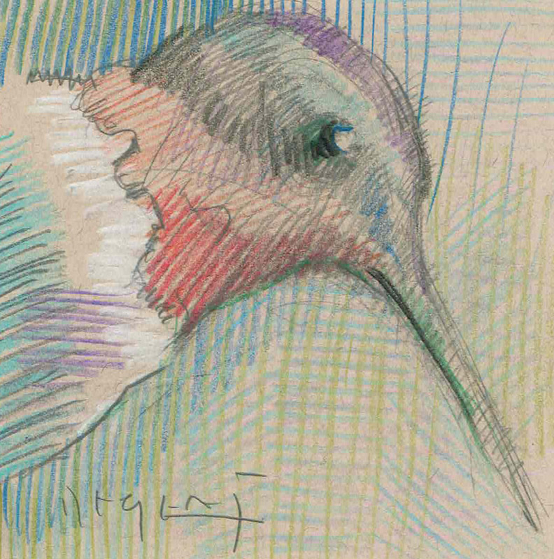 Mini Farm: Hummingbird No. 1 by Tim Jaeger